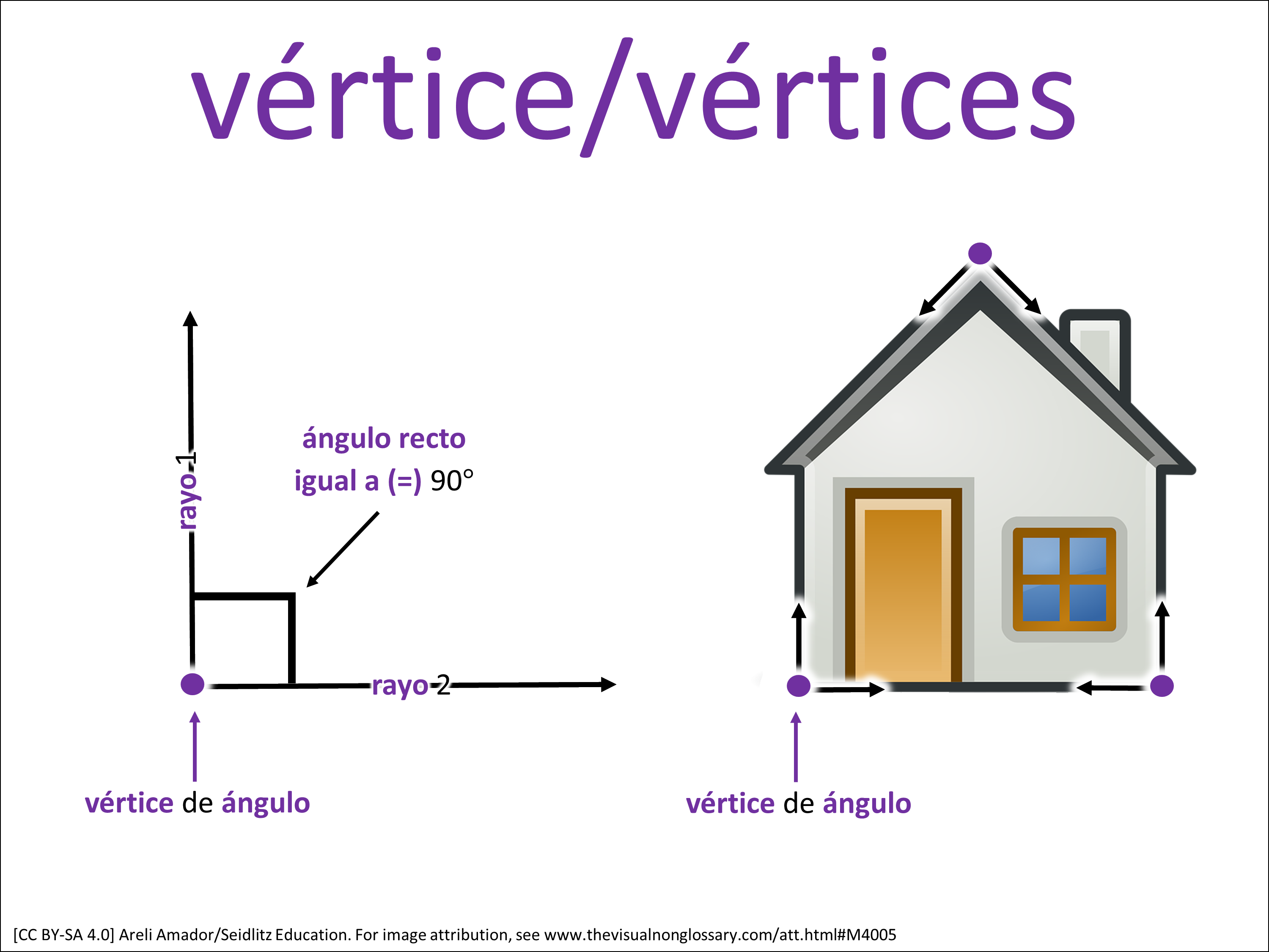Vocab Visual