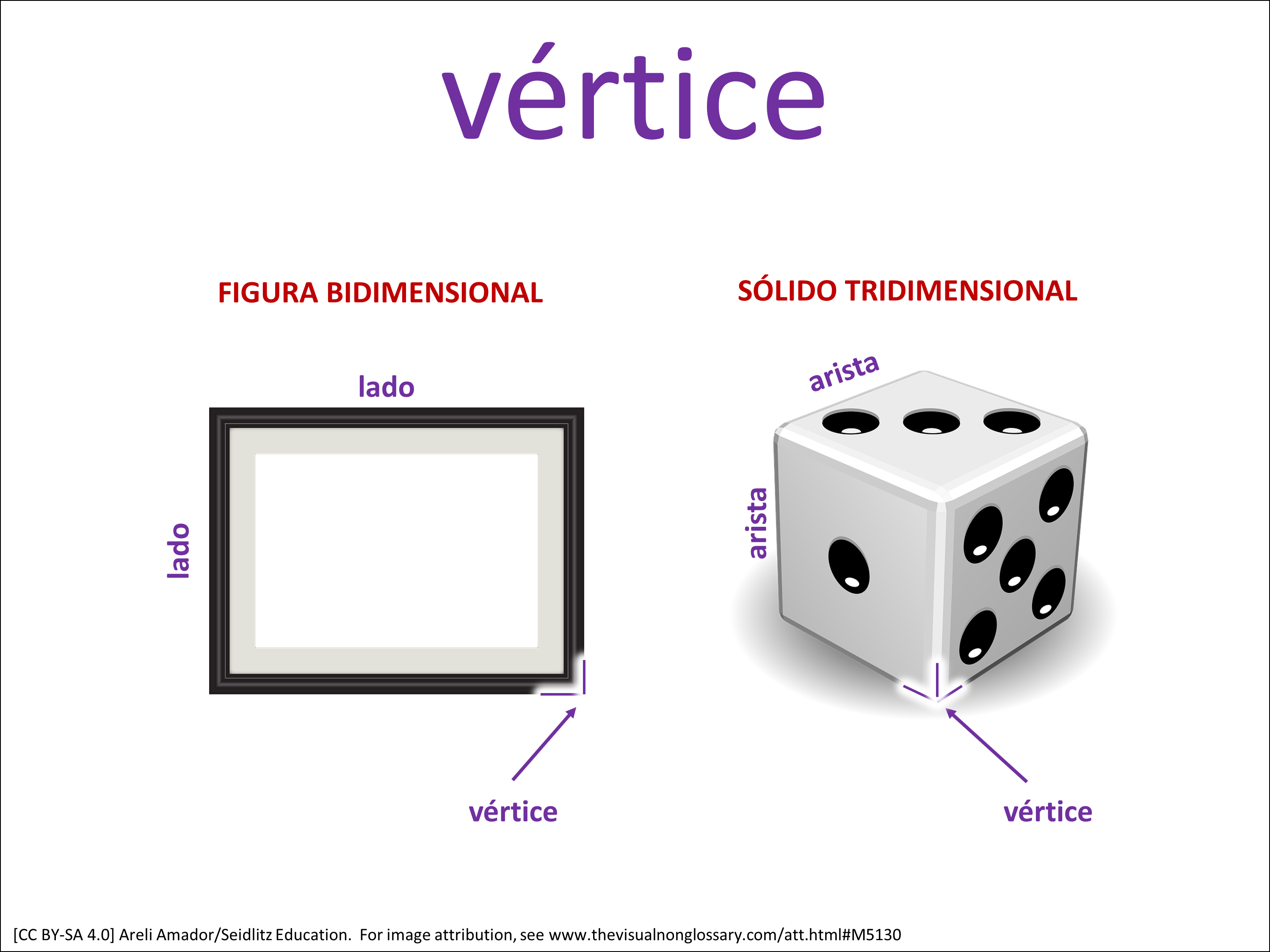 Vocab Visual