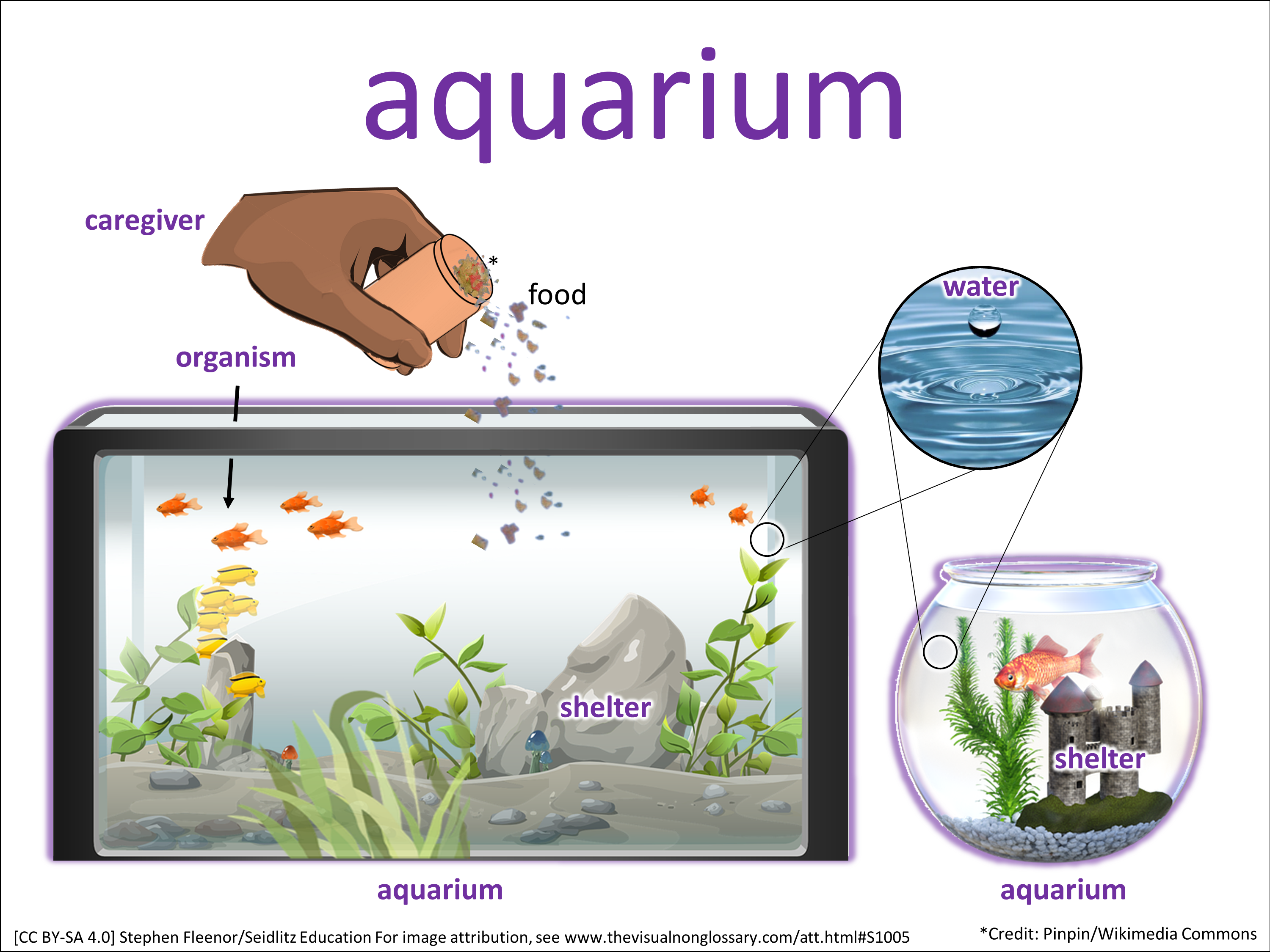 Vocab Visual