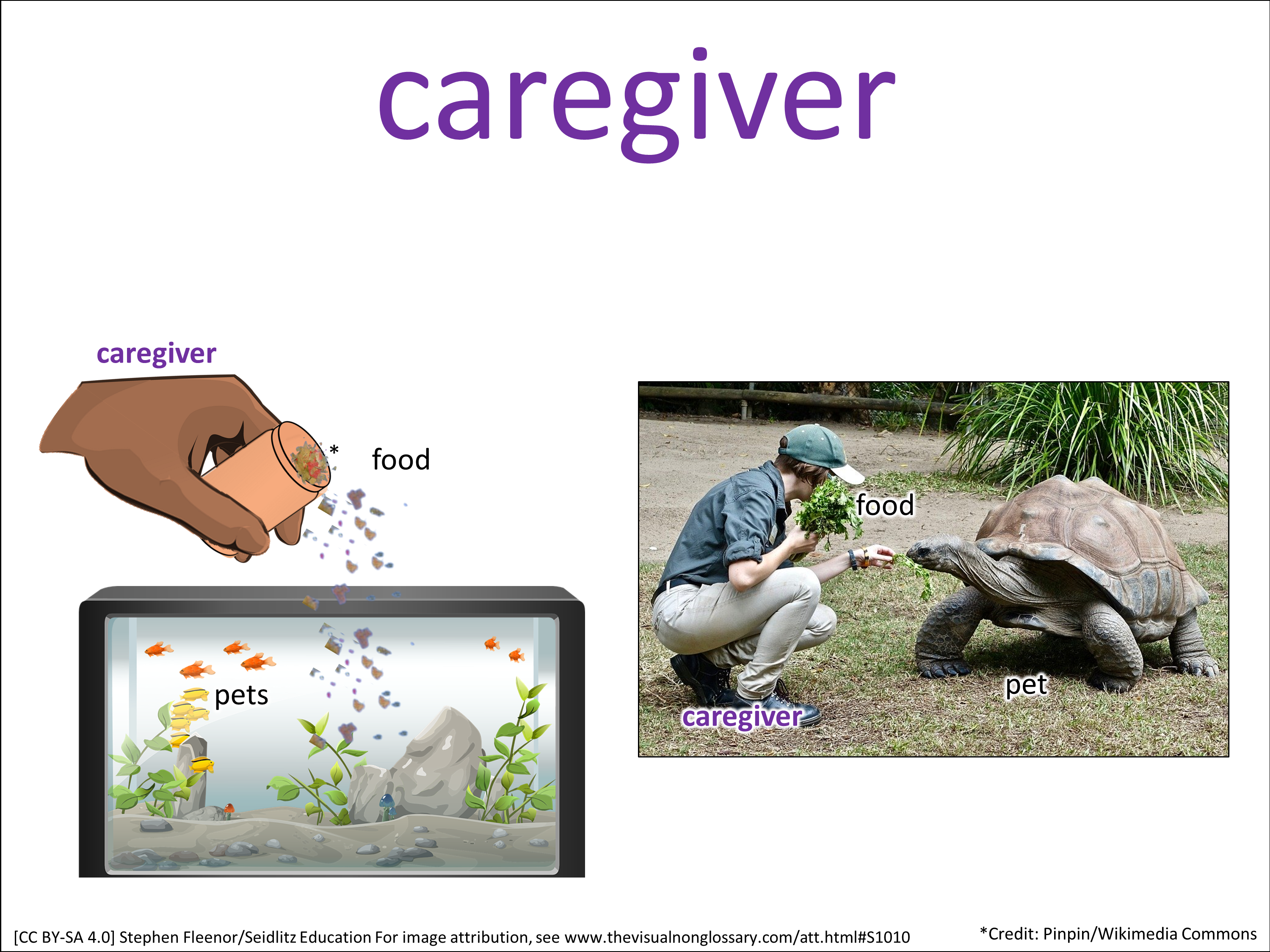 Vocab Visual