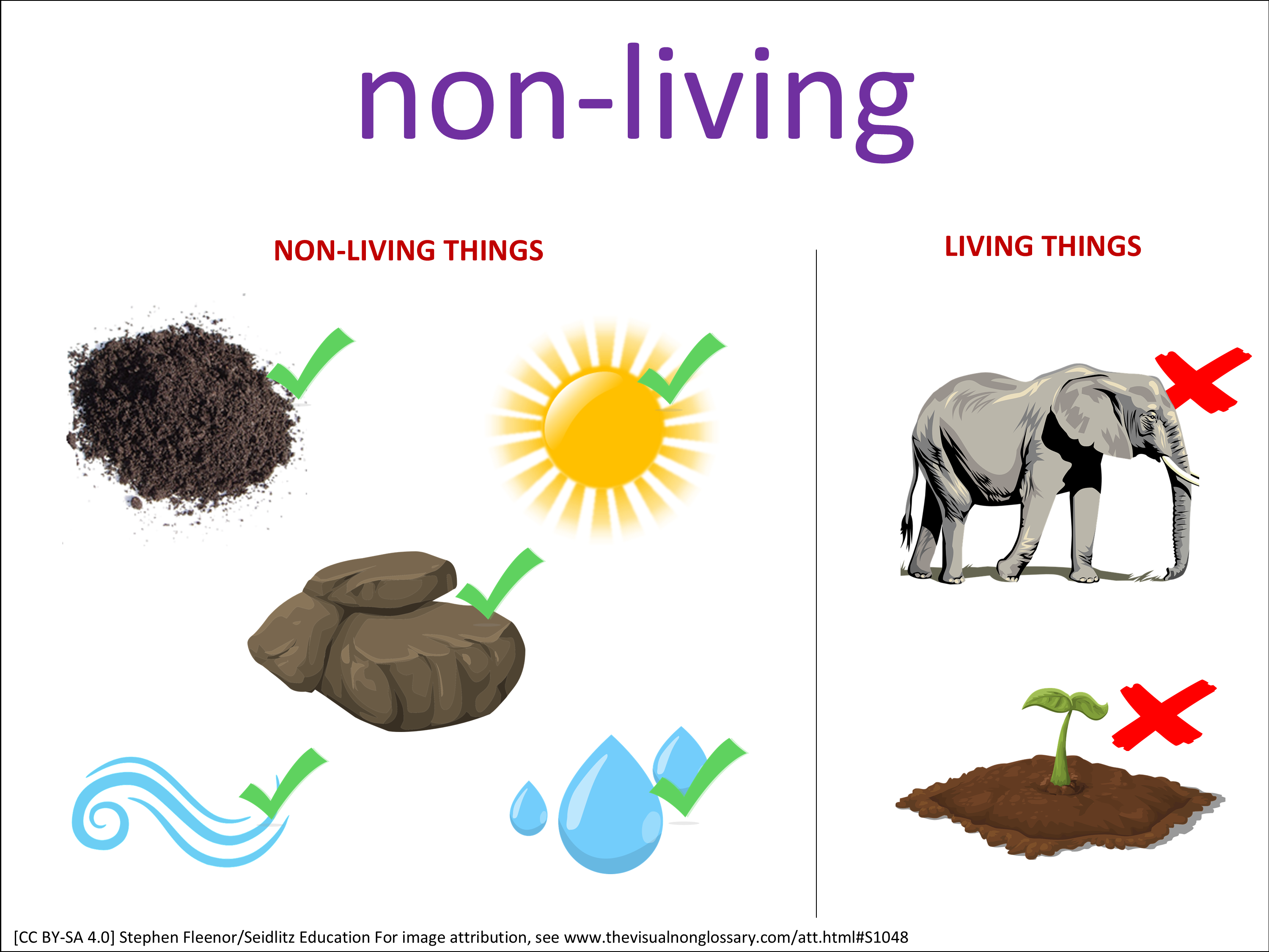 Vocab Visual