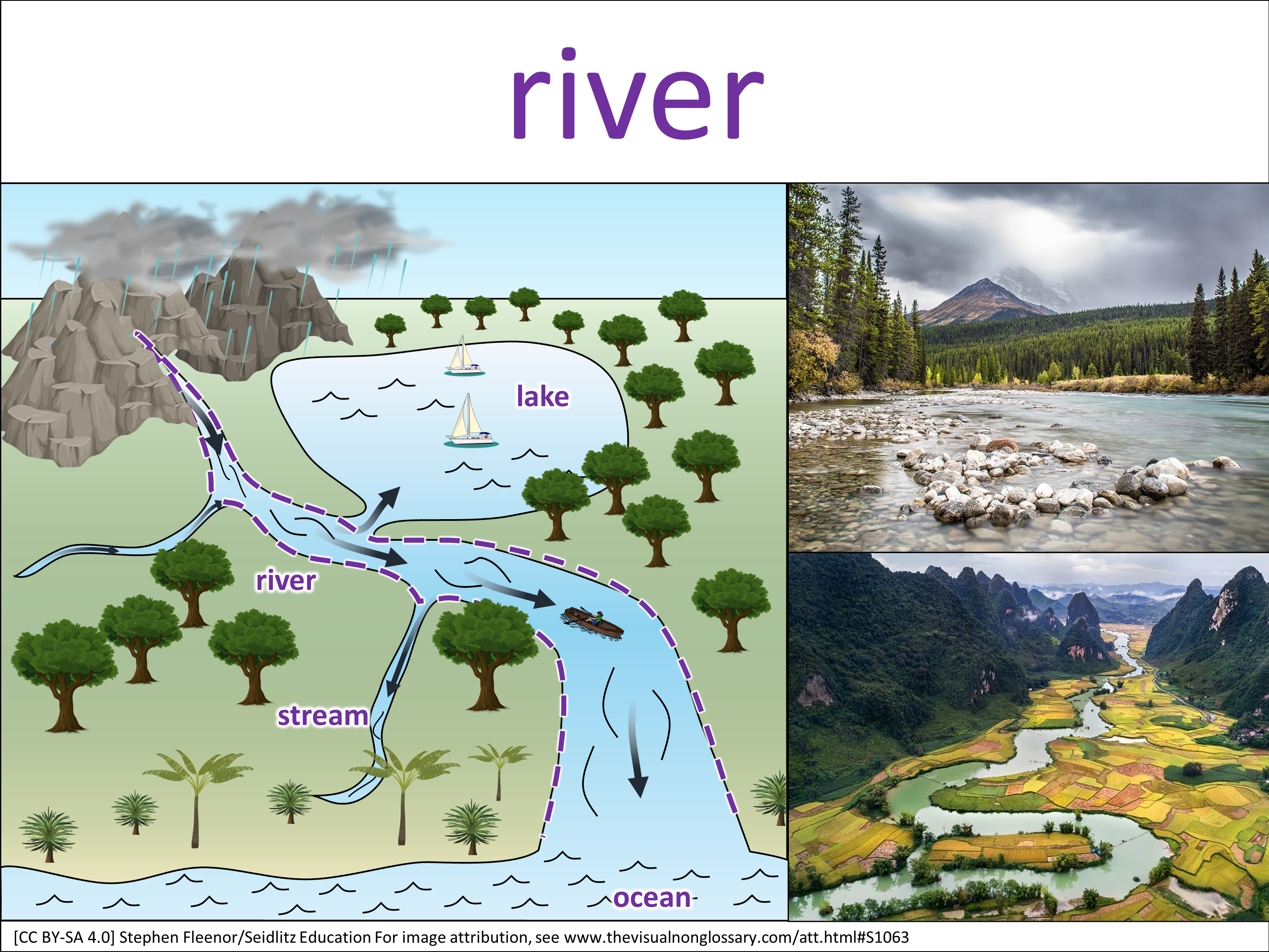 Vocab Visual