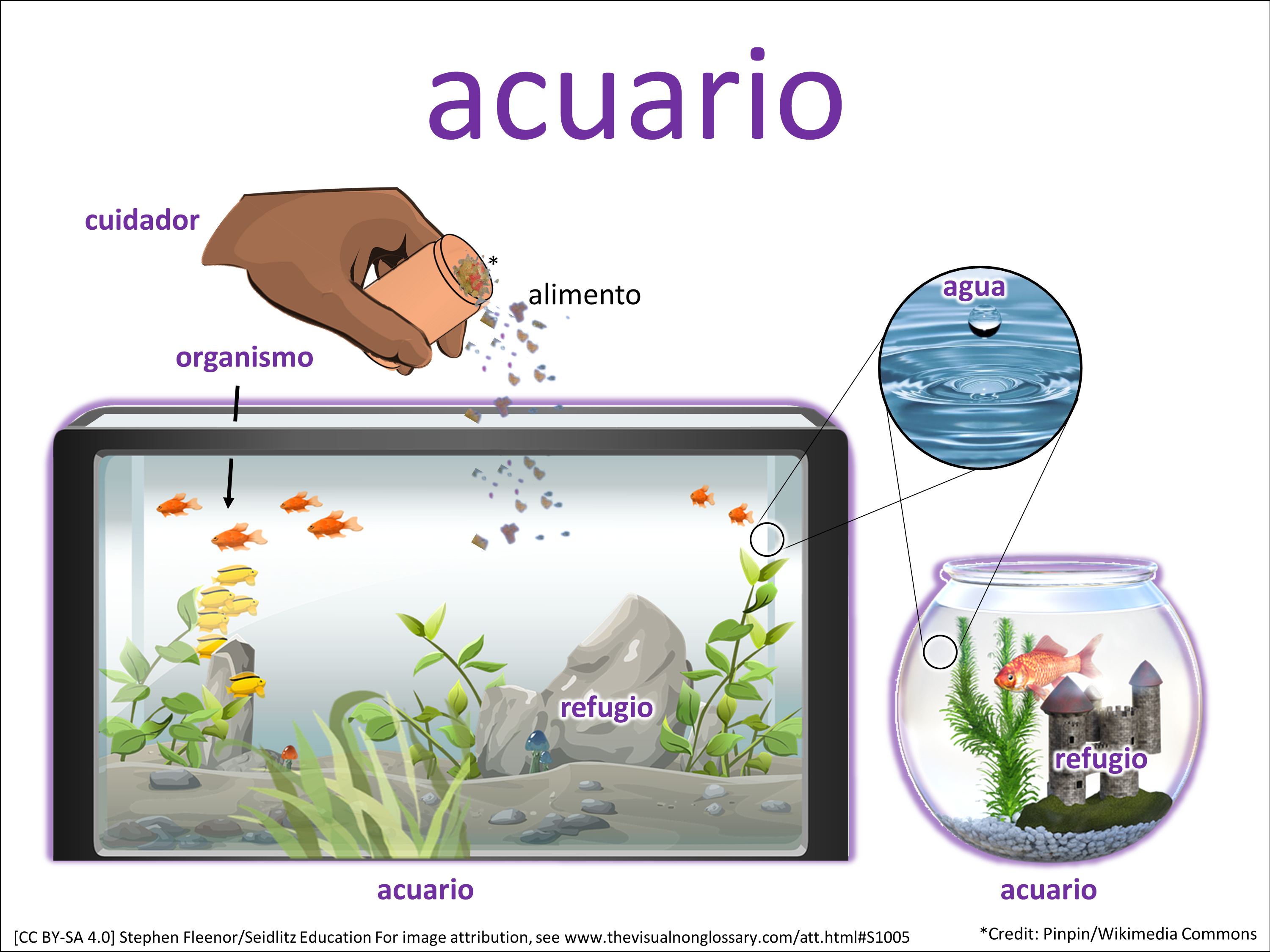 Vocab Visual