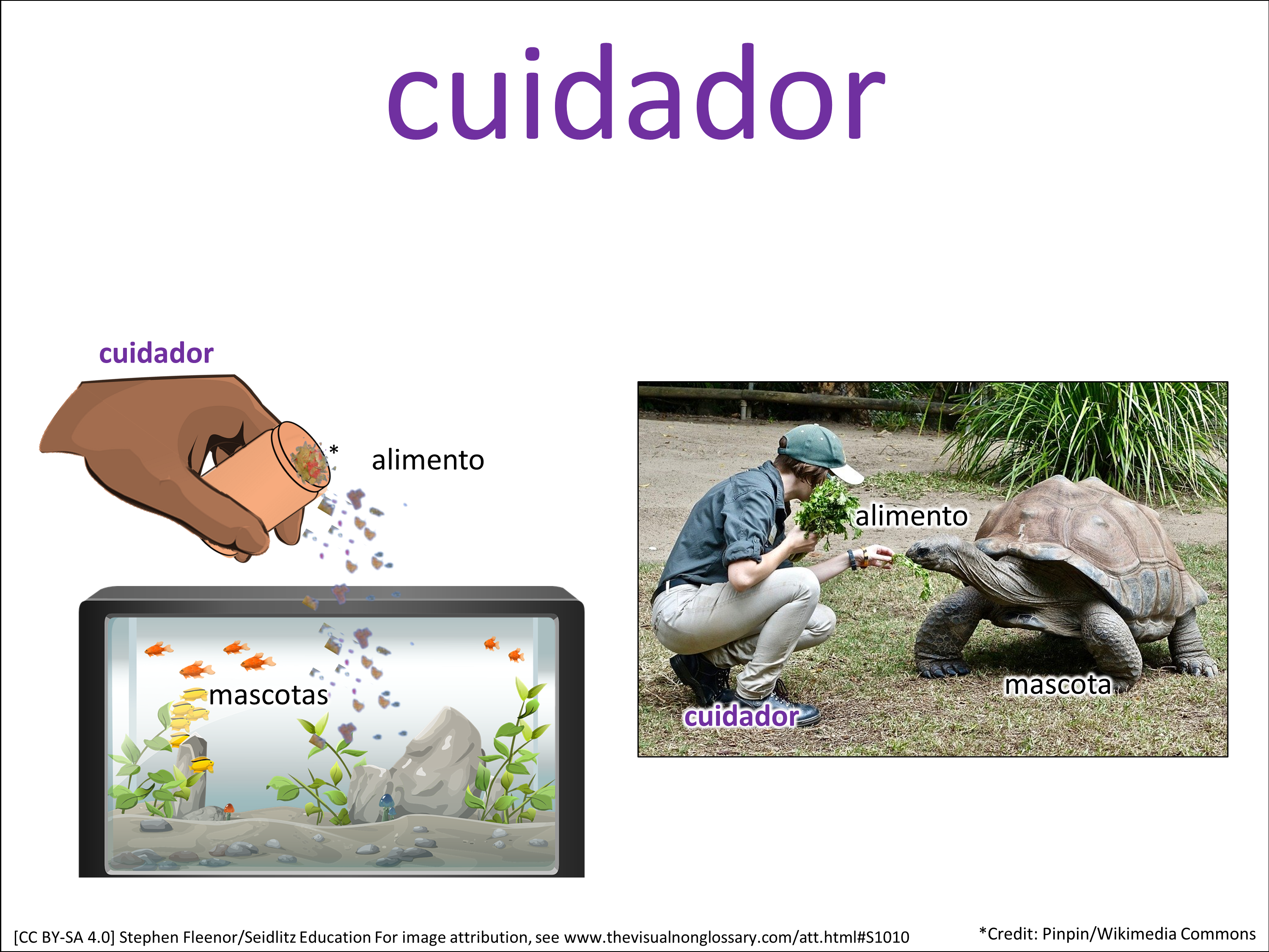 Vocab Visual