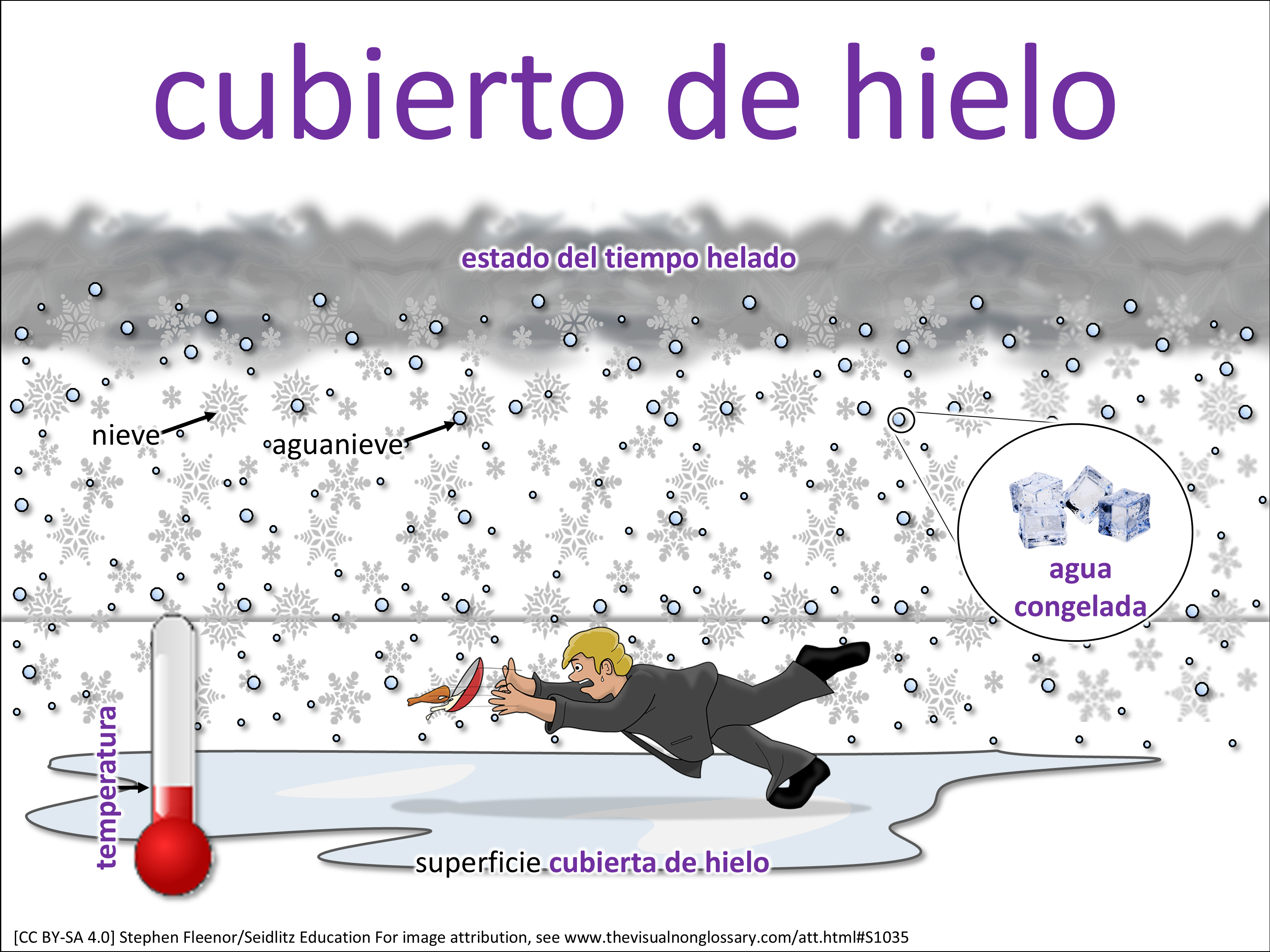 Vocab Visual