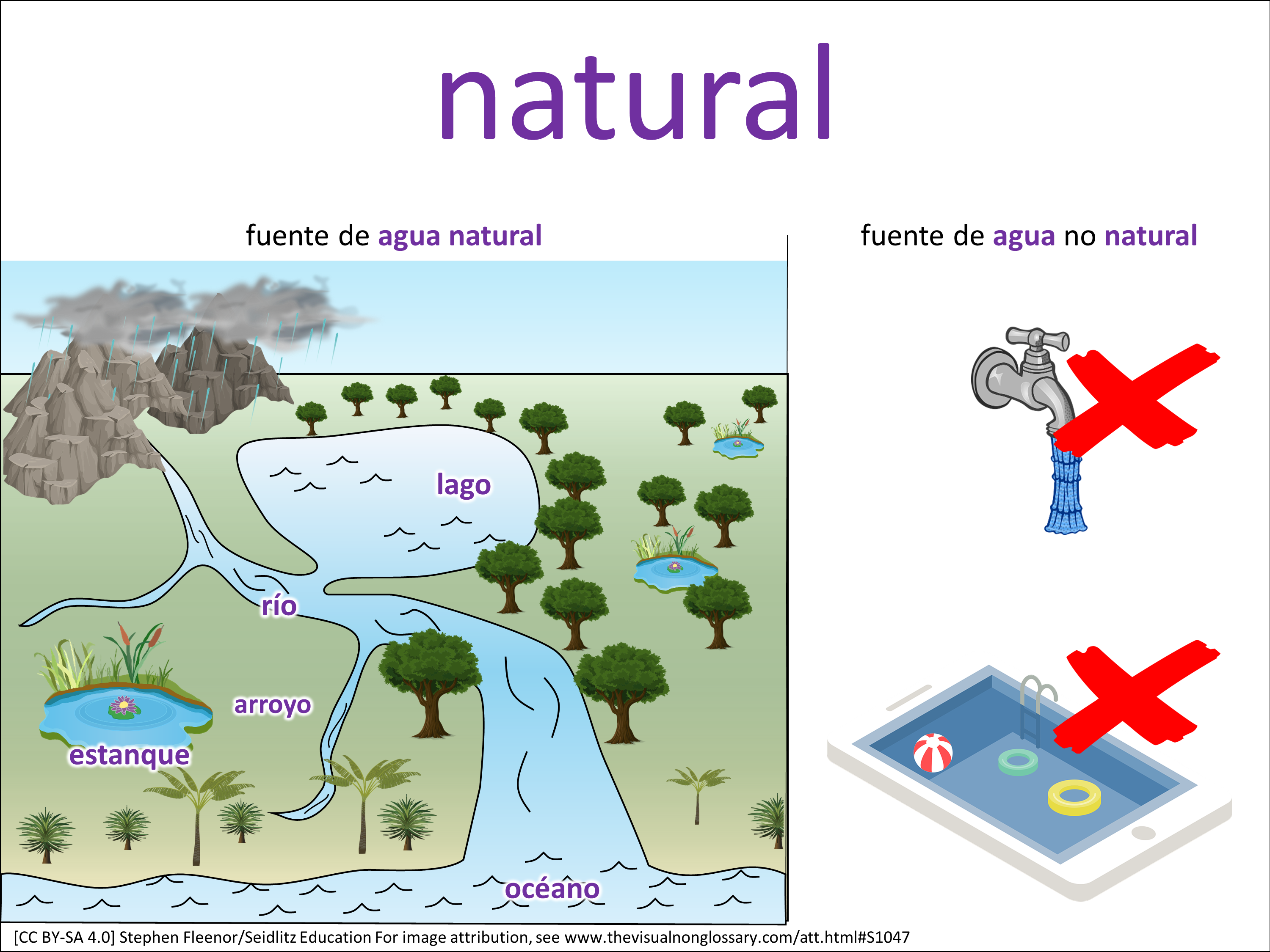 Vocab Visual