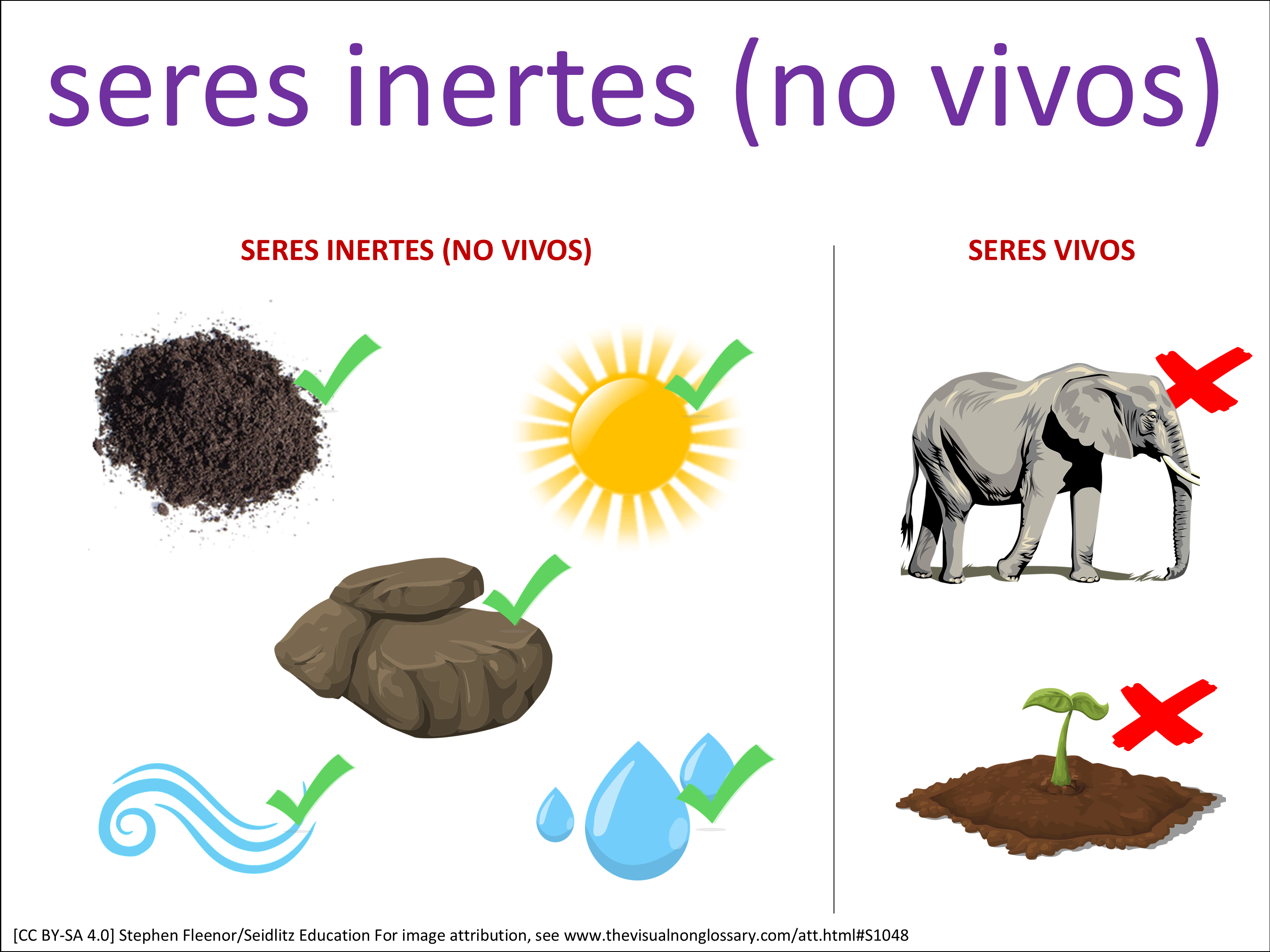 Vocab Visual