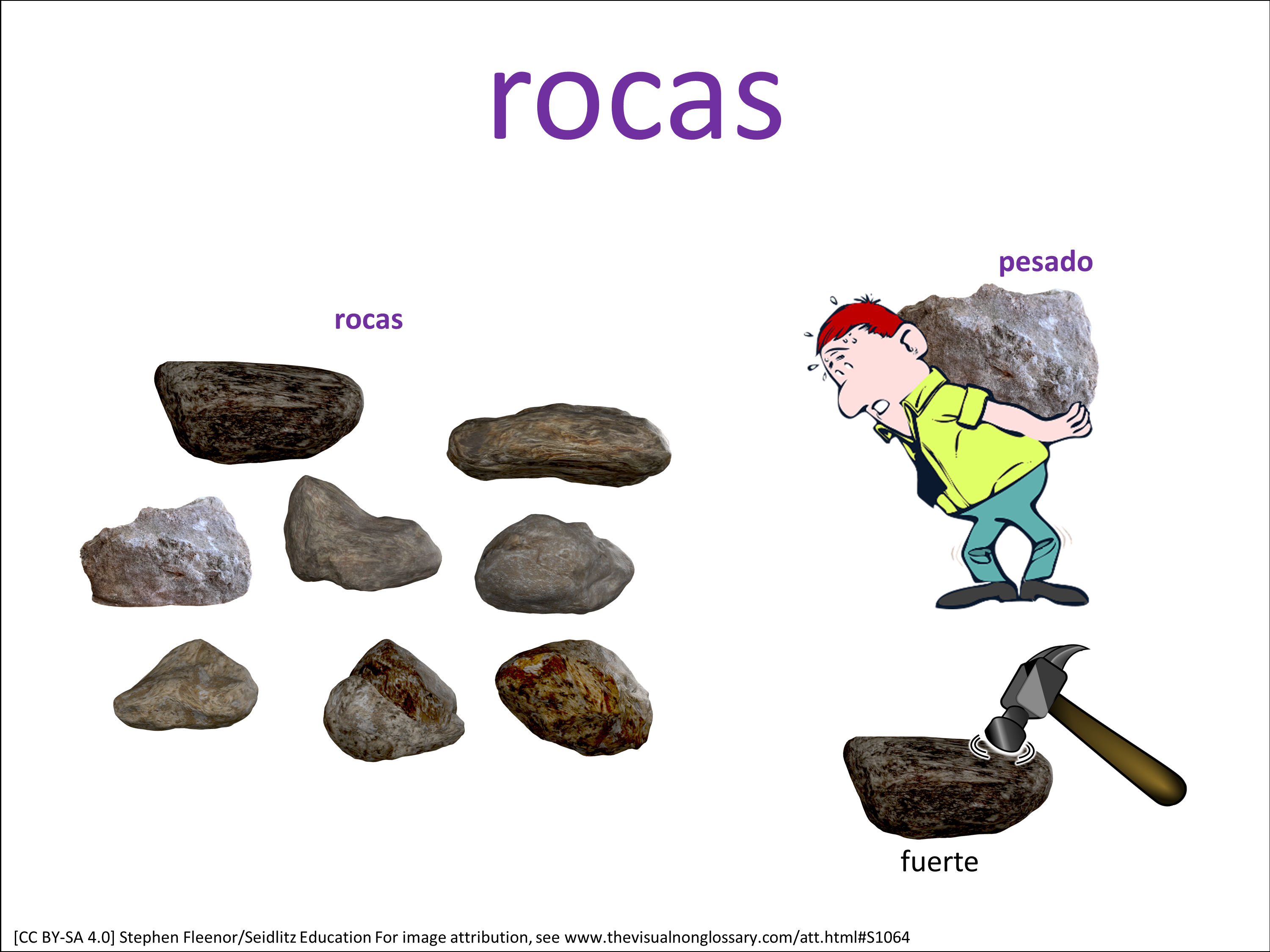 Vocab Visual