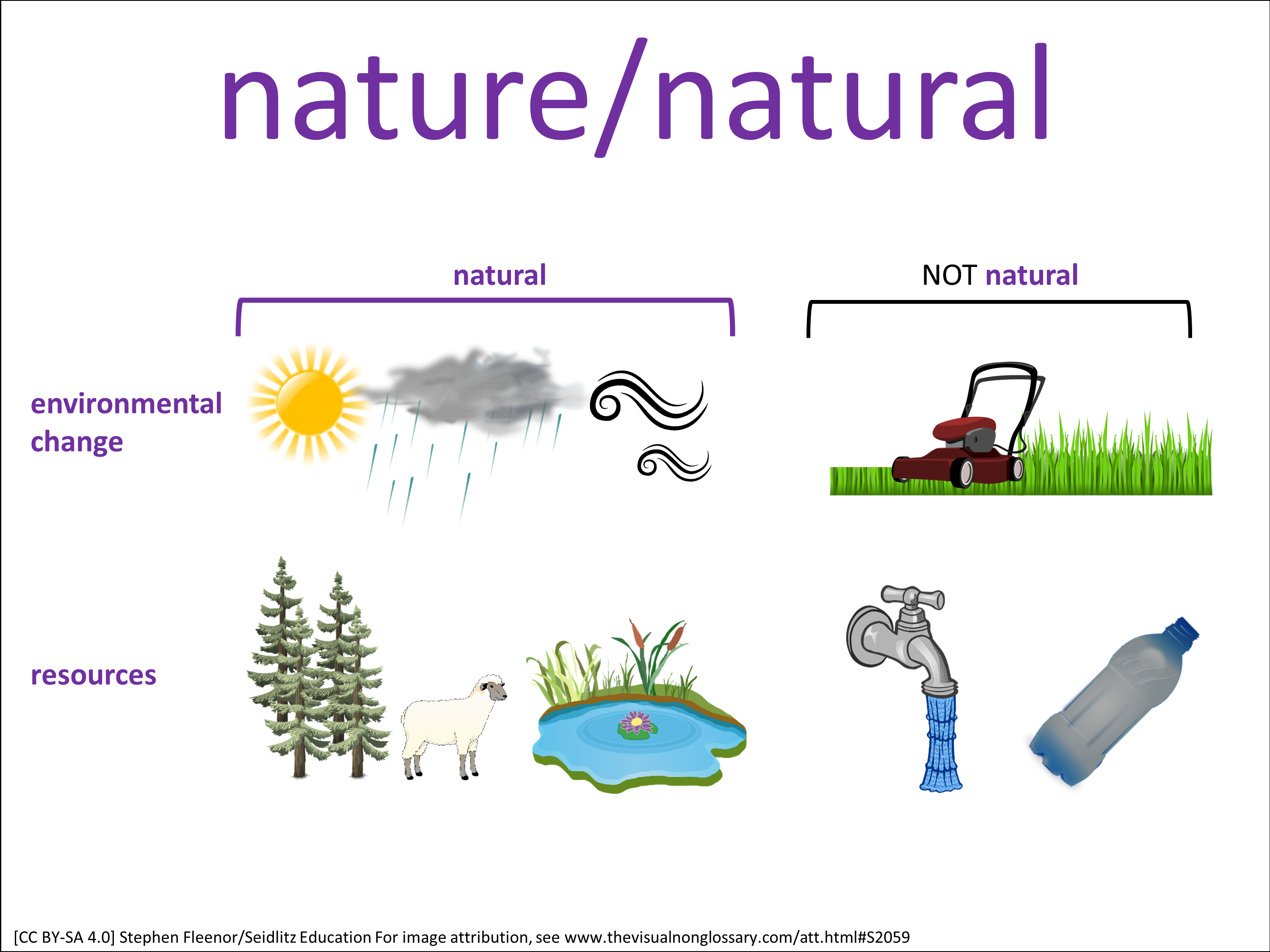 Vocab Visual