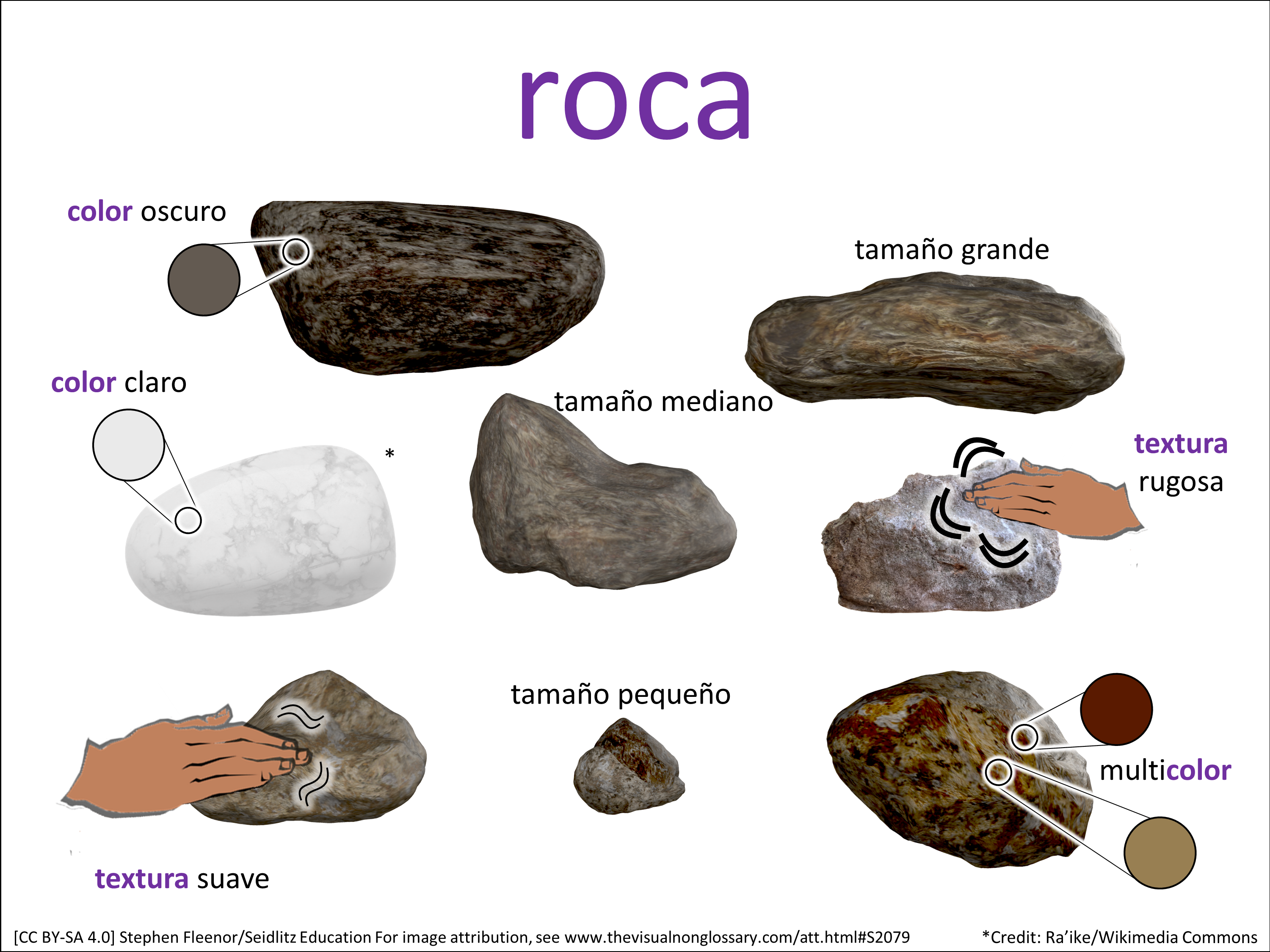 Vocab Visual