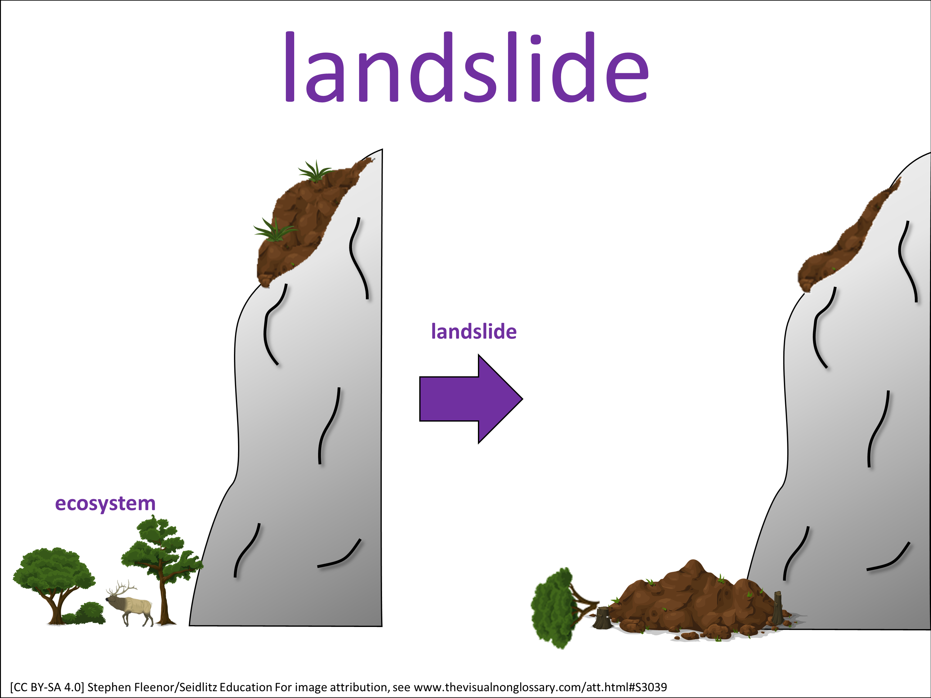 Vocab Visual
