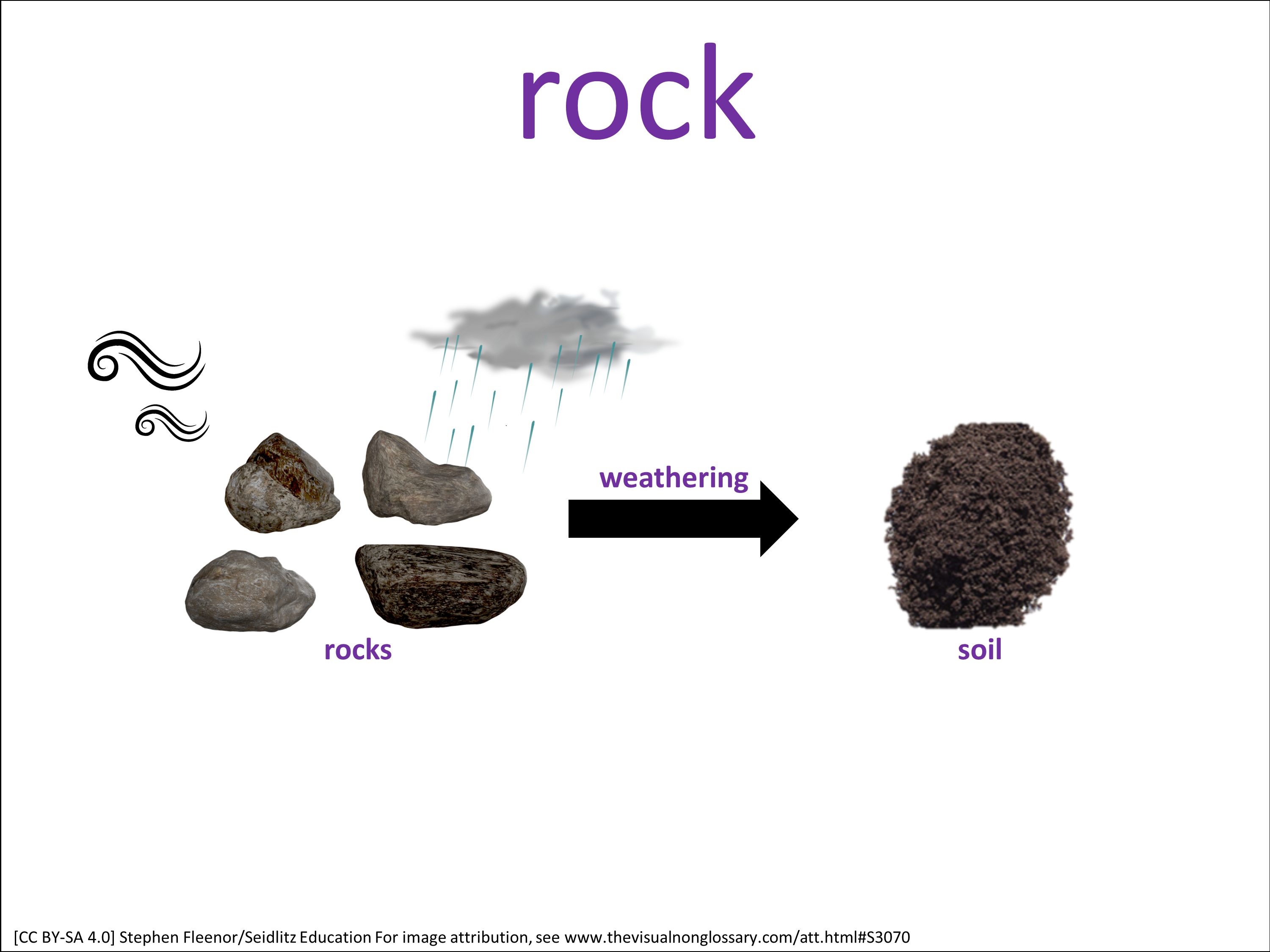Vocab Visual
