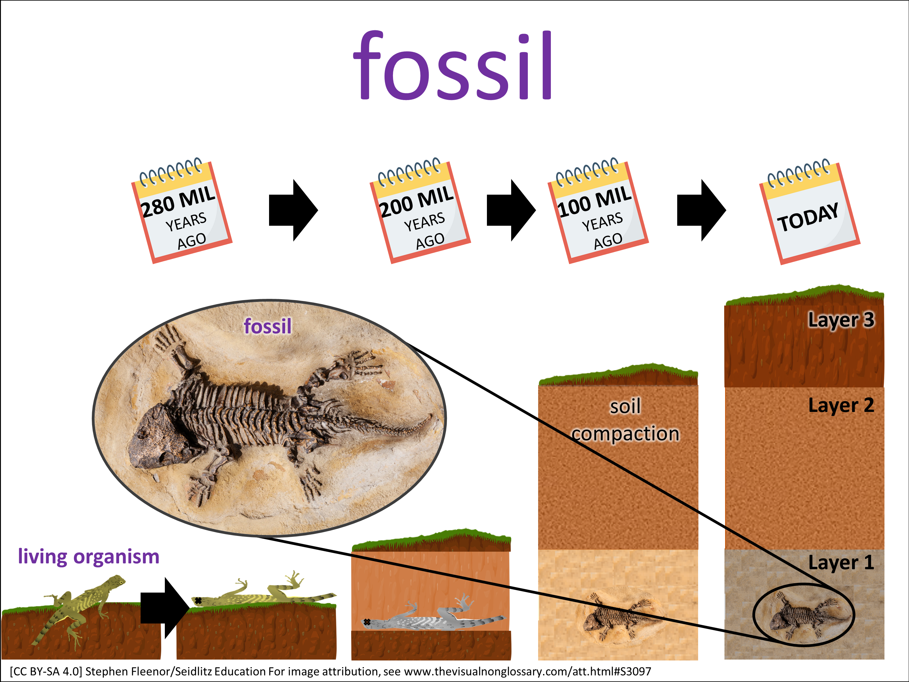 Vocab Visual