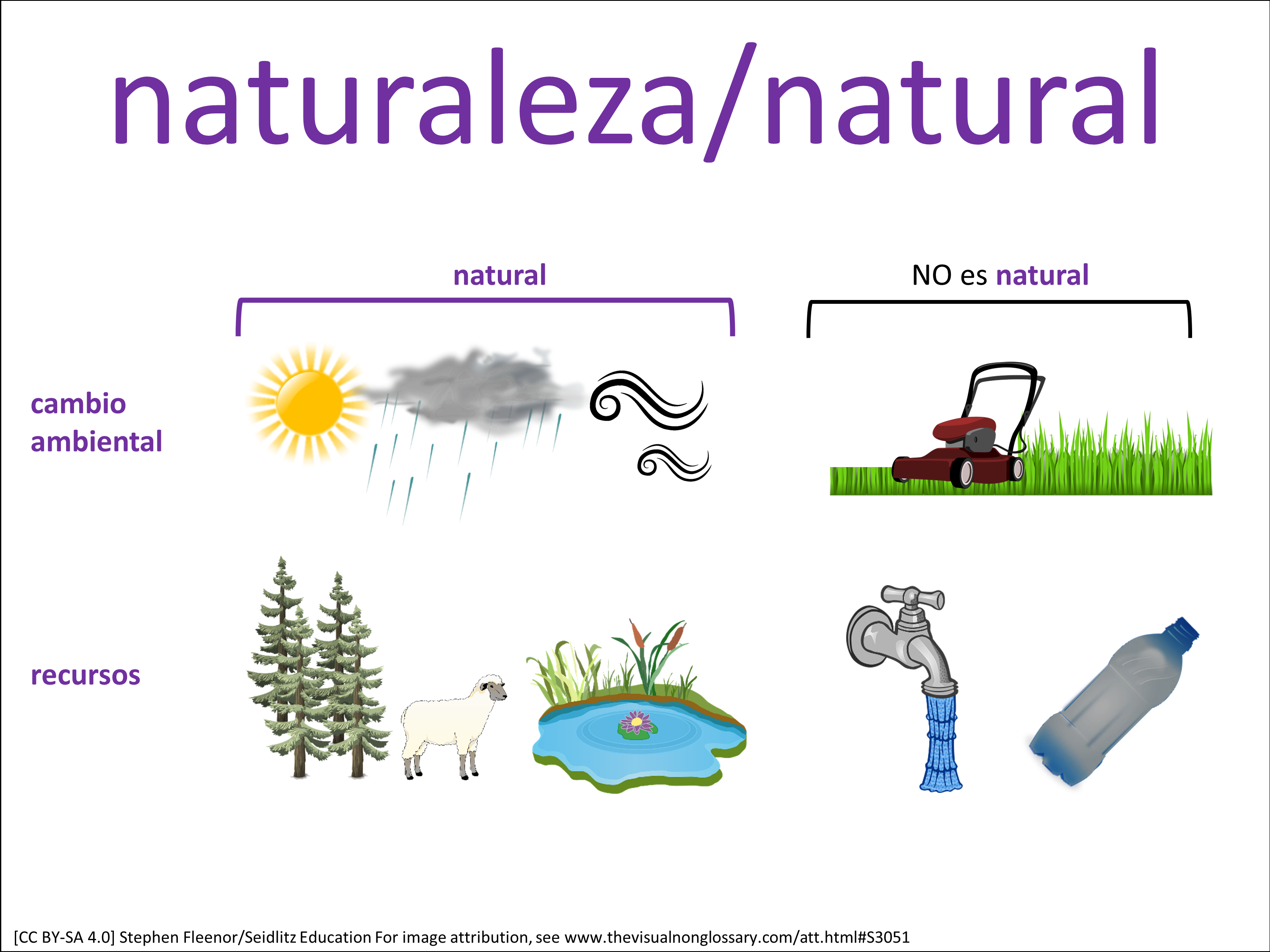 Vocab Visual