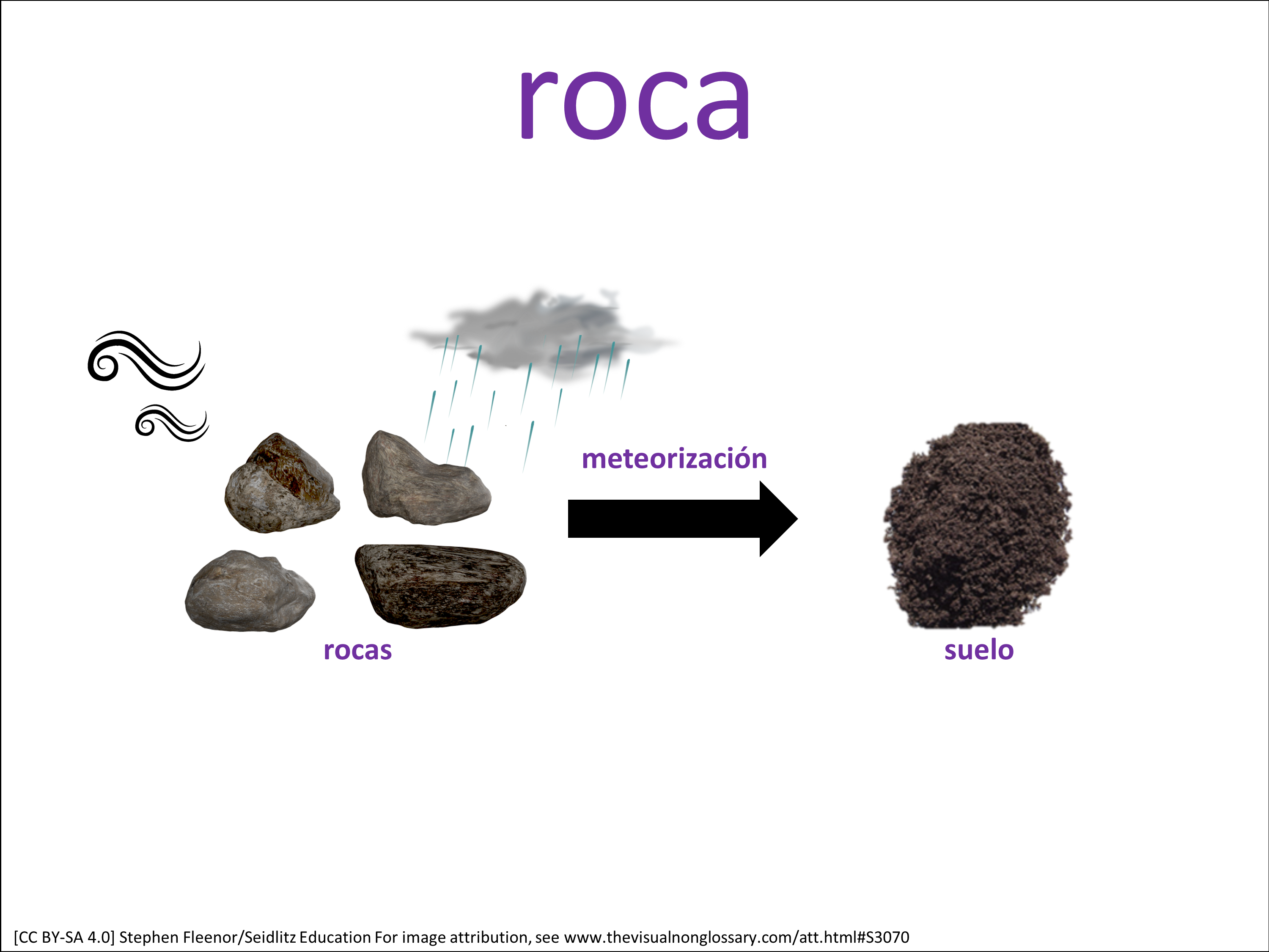 Vocab Visual