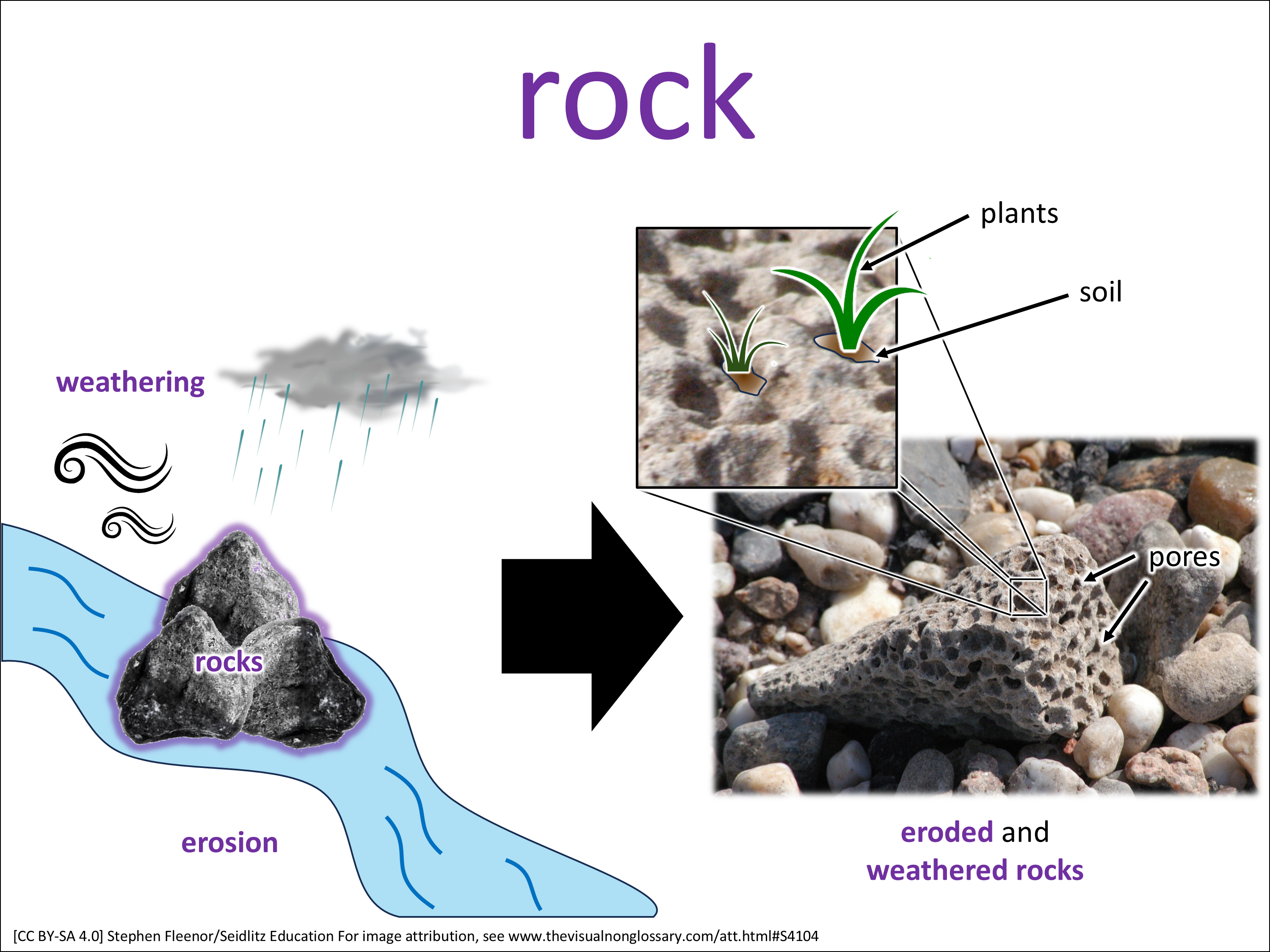 Vocab Visual