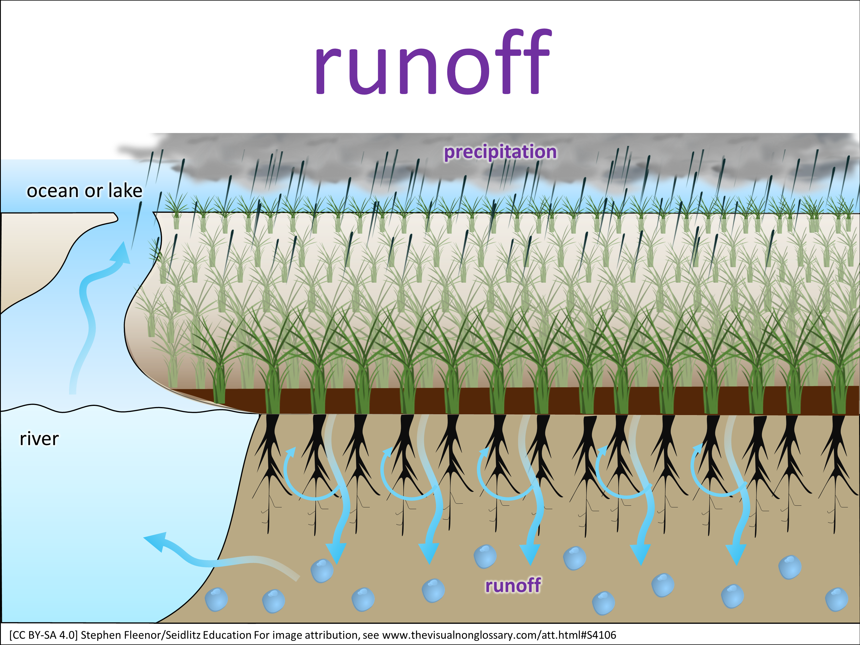 Vocab Visual