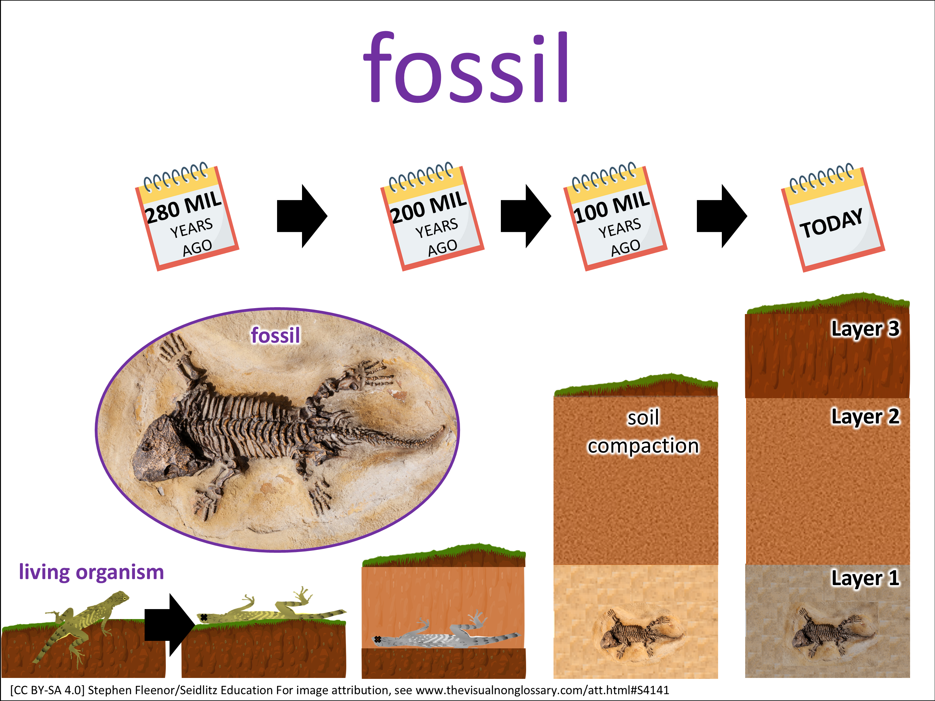 Vocab Visual