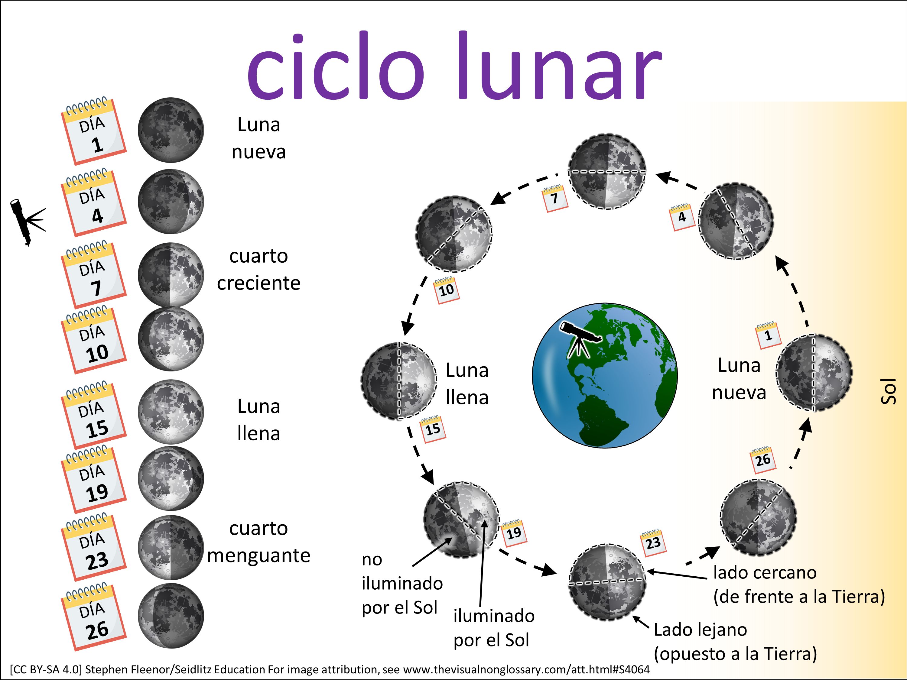 Vocab Visual
