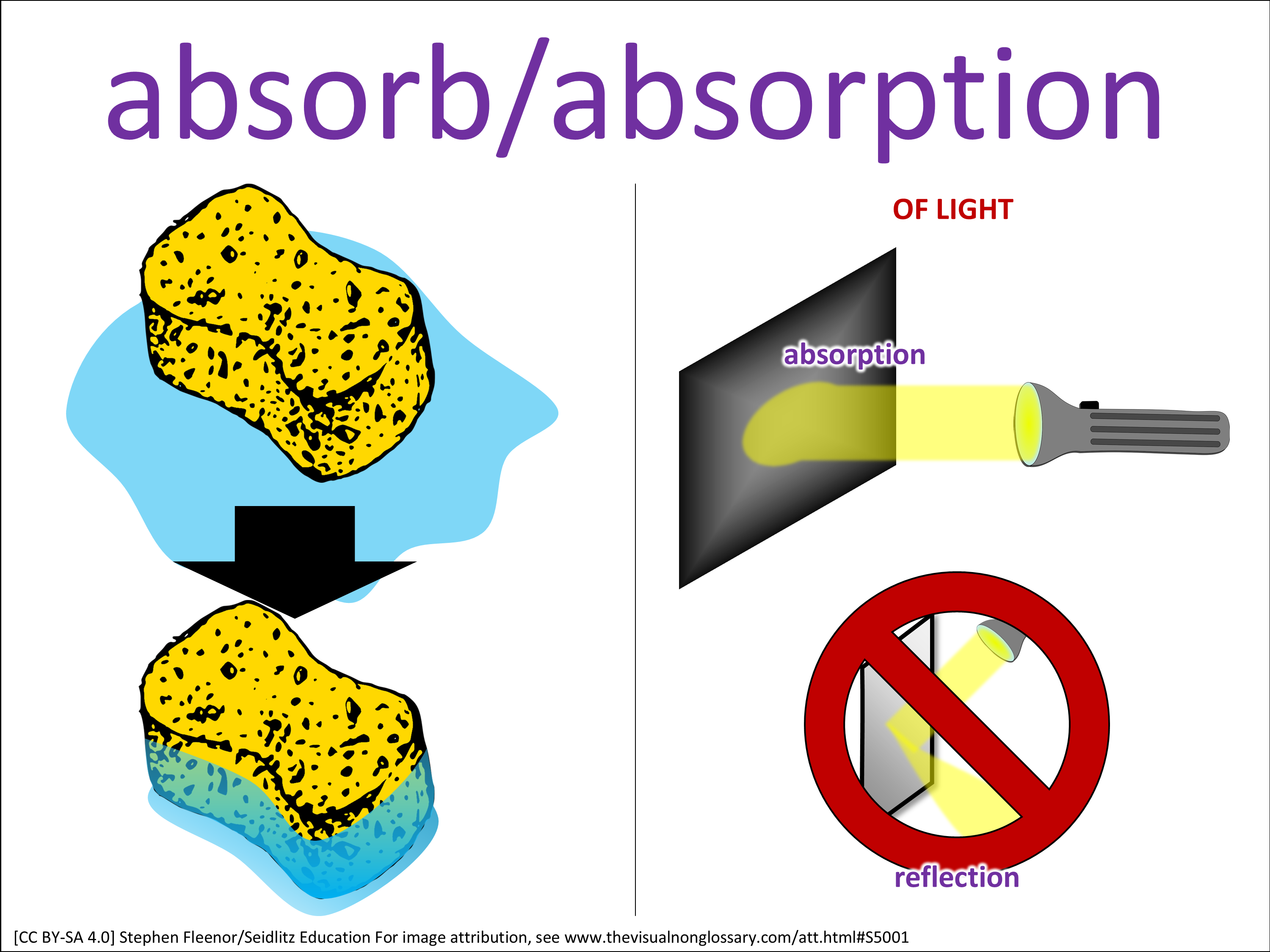 Vocab Visual