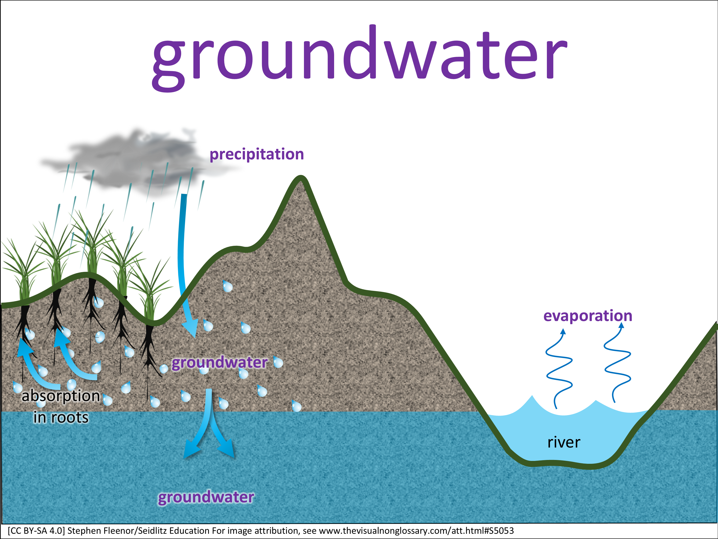Vocab Visual