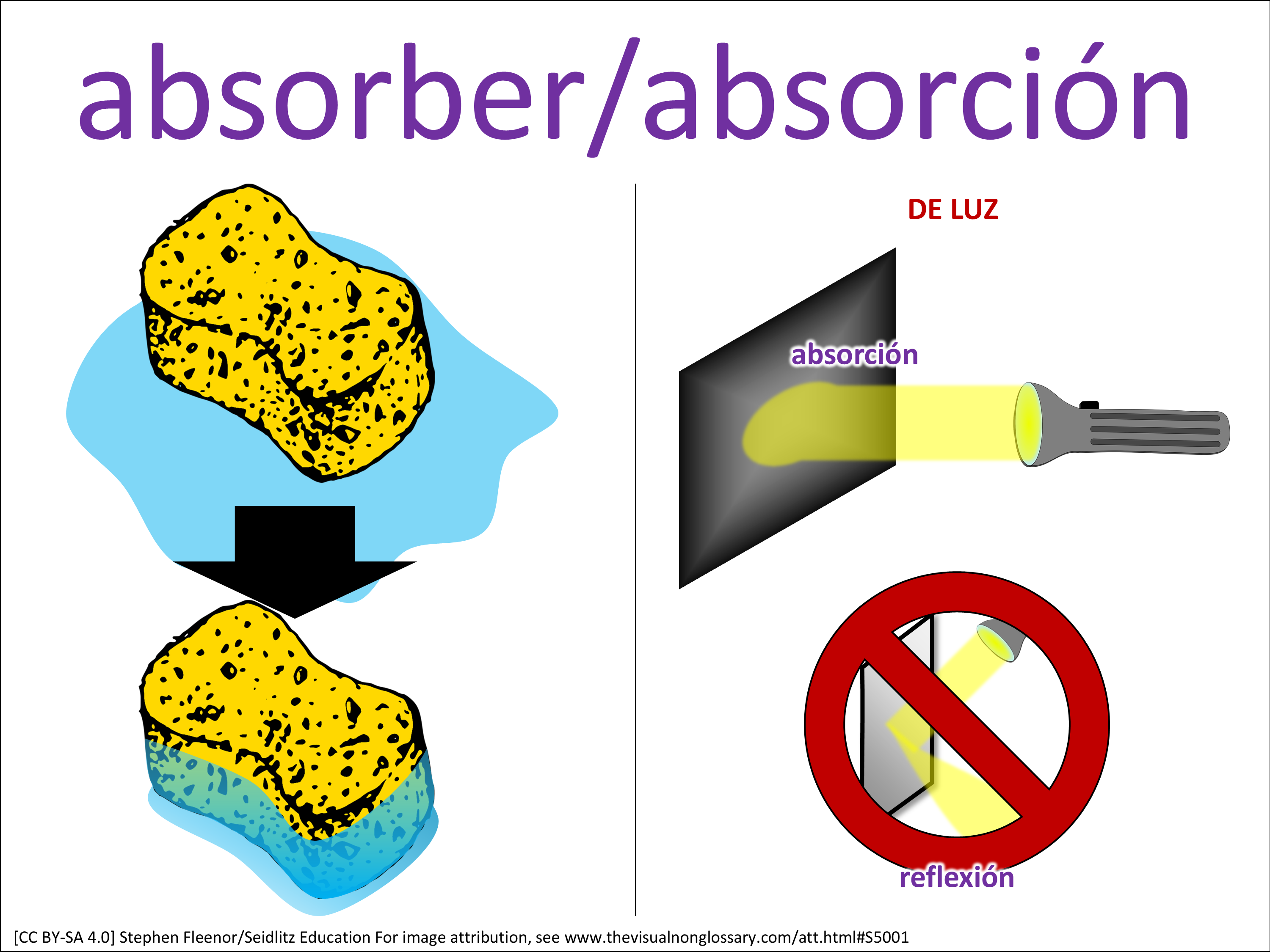 Vocab Visual