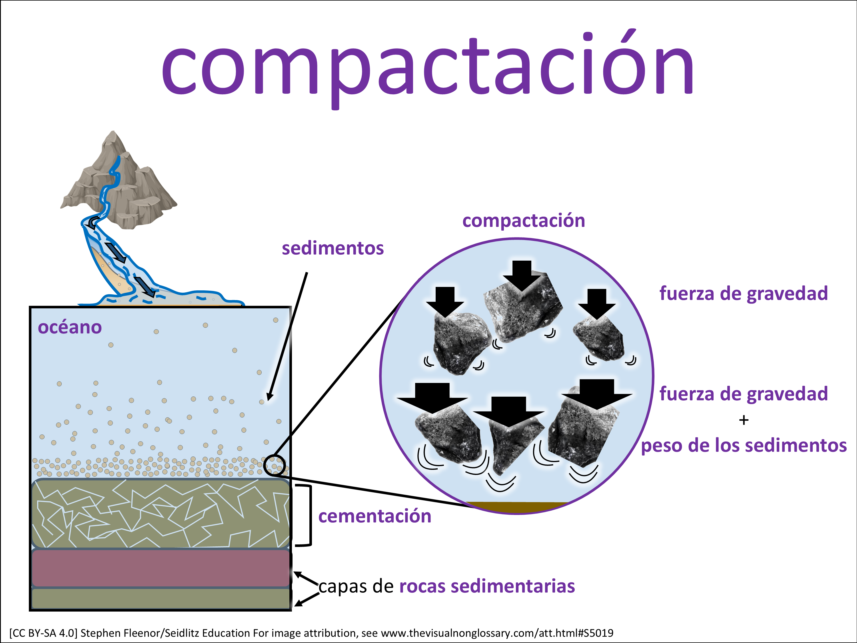 Vocab Visual