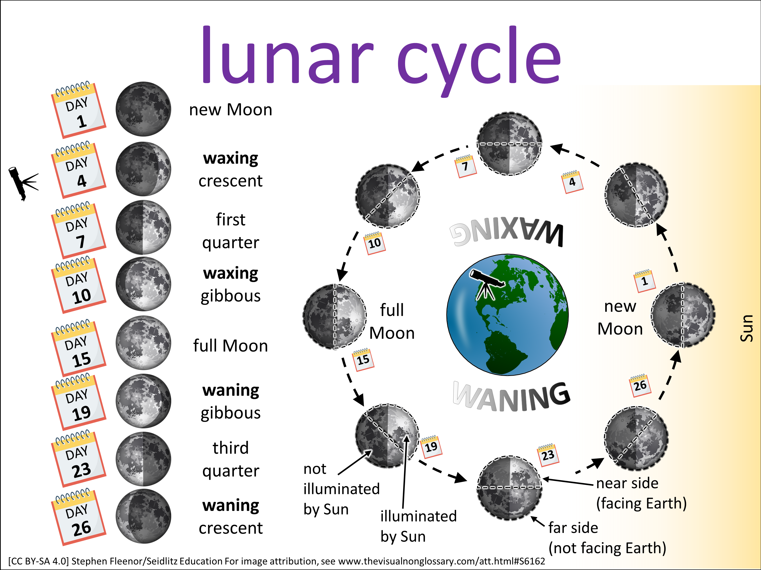 Vocab Visual