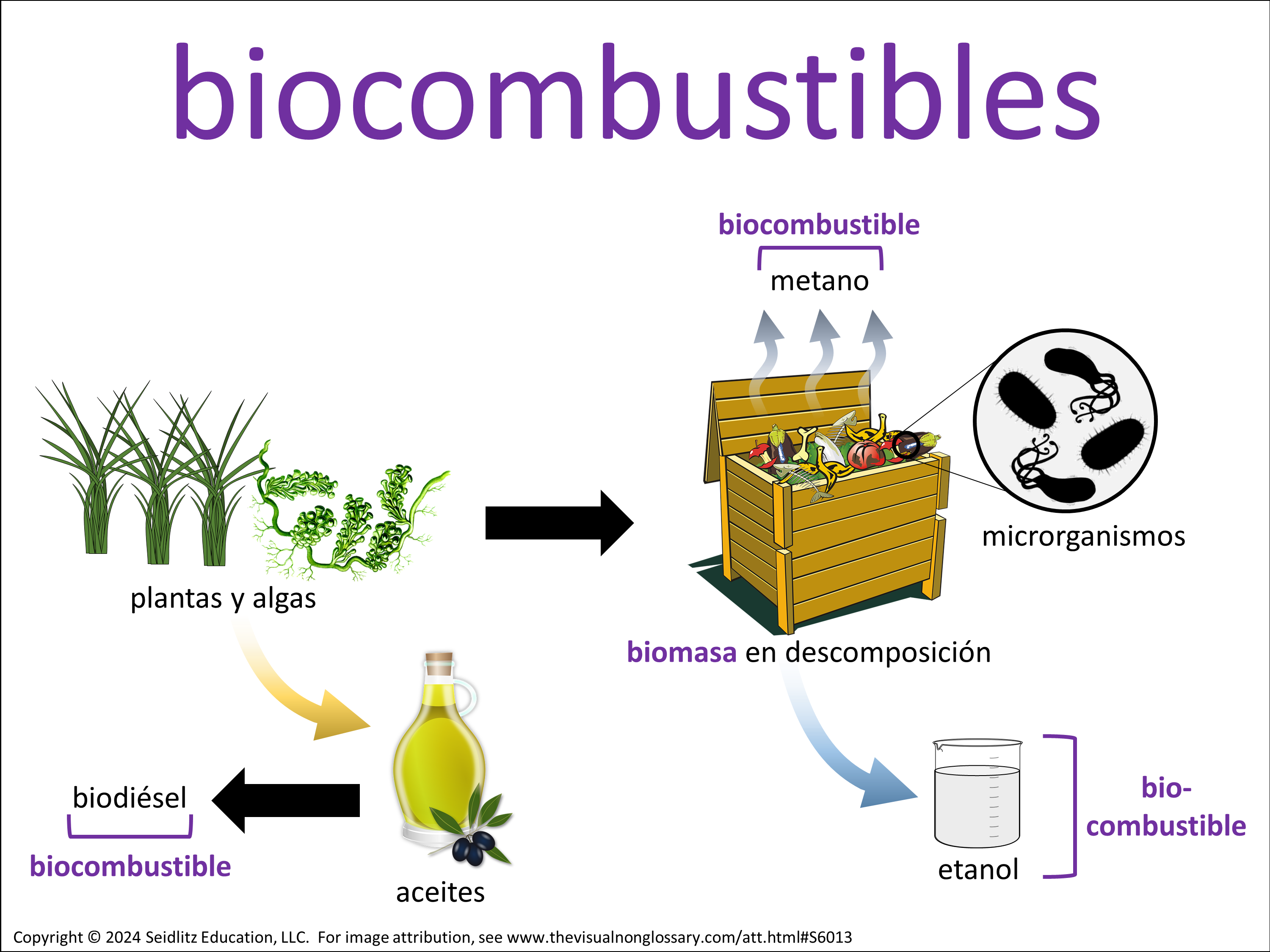 Vocab Visual