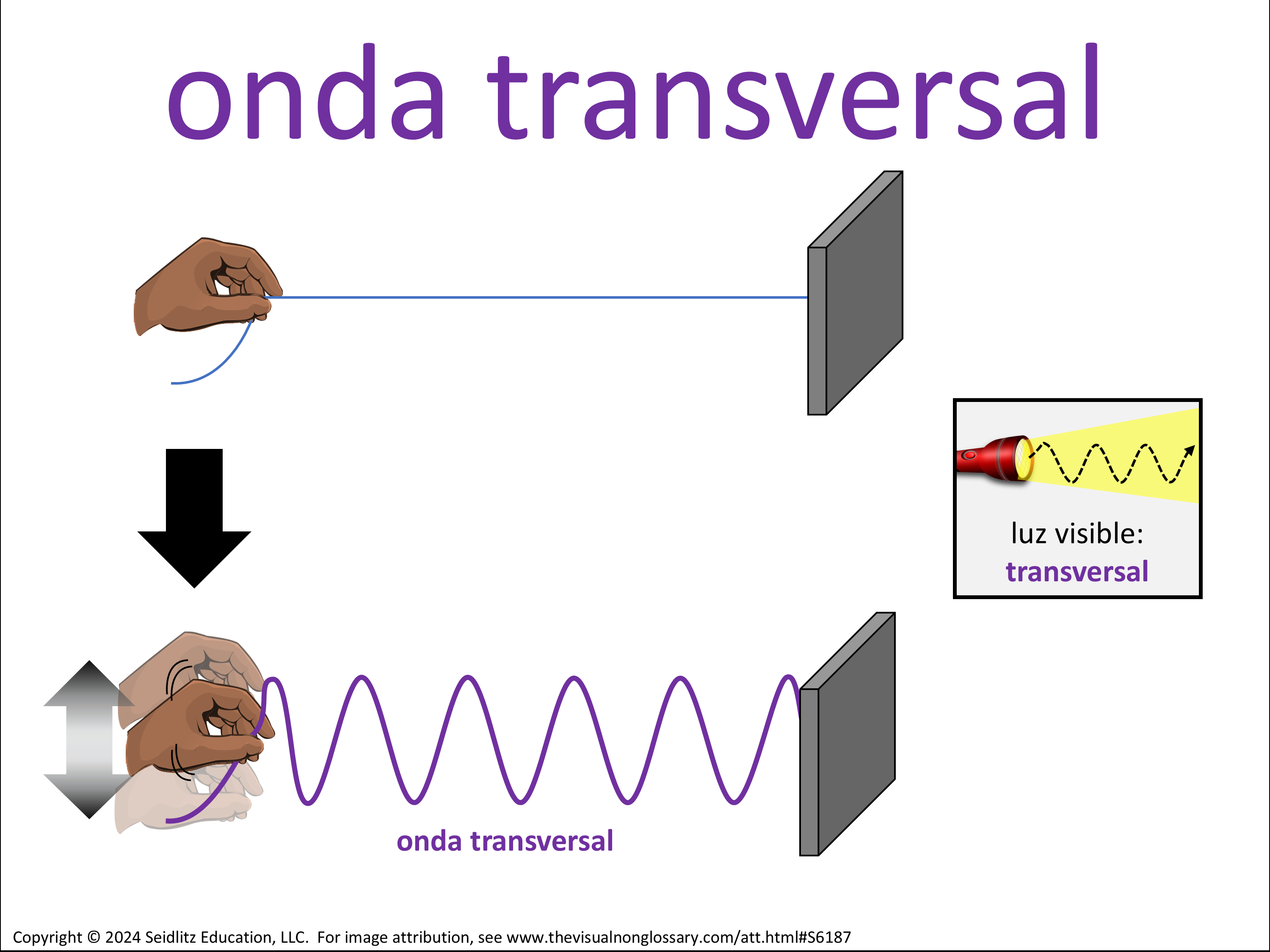 Vocab Visual