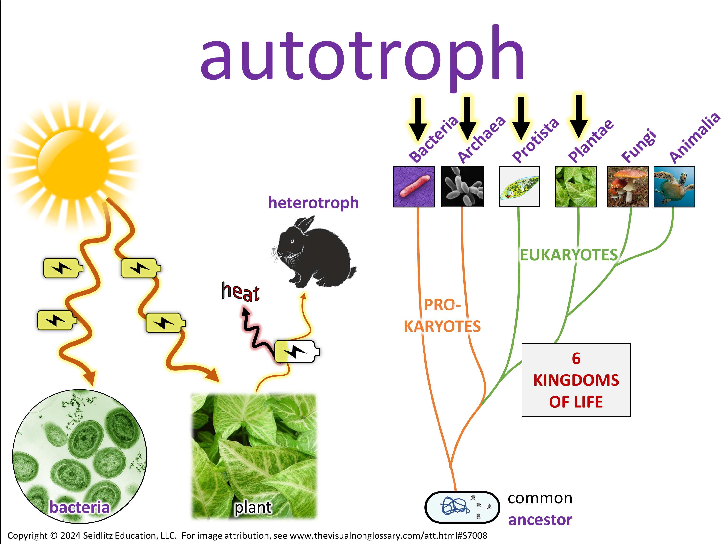 Vocab Visual