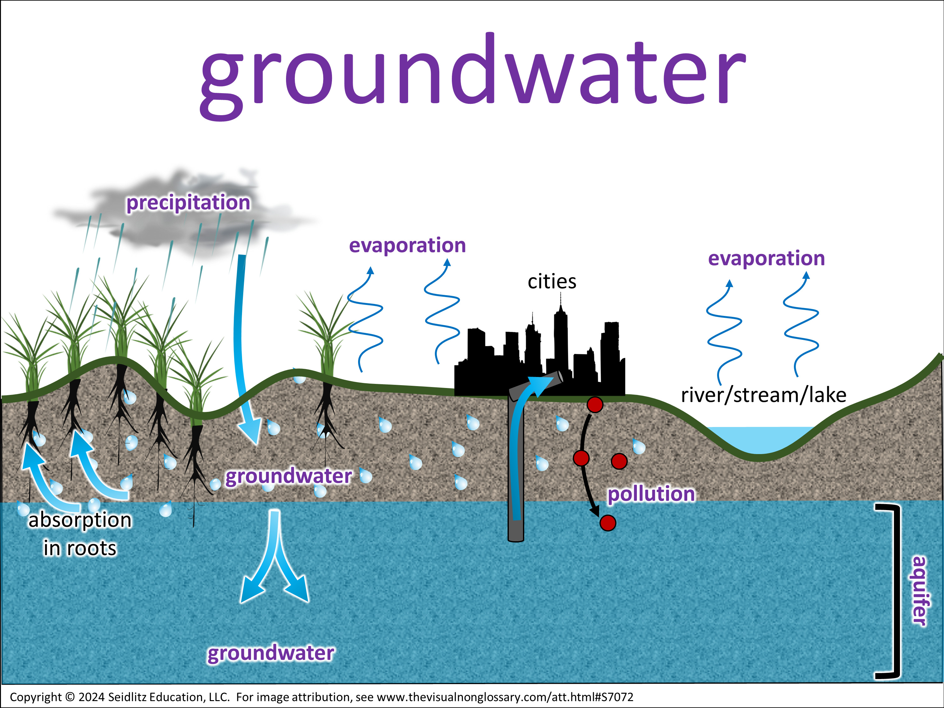 Vocab Visual