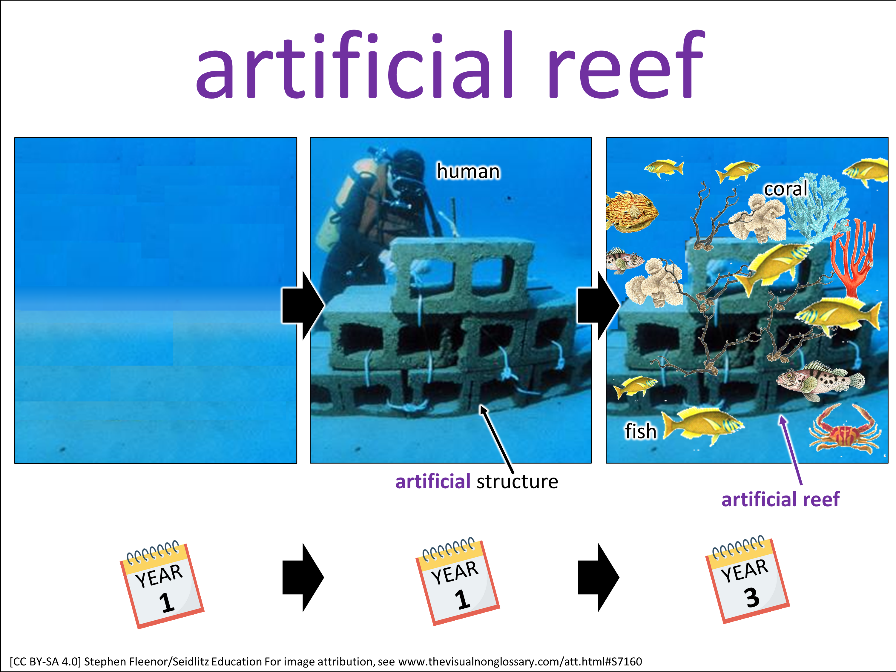 Vocab Visual