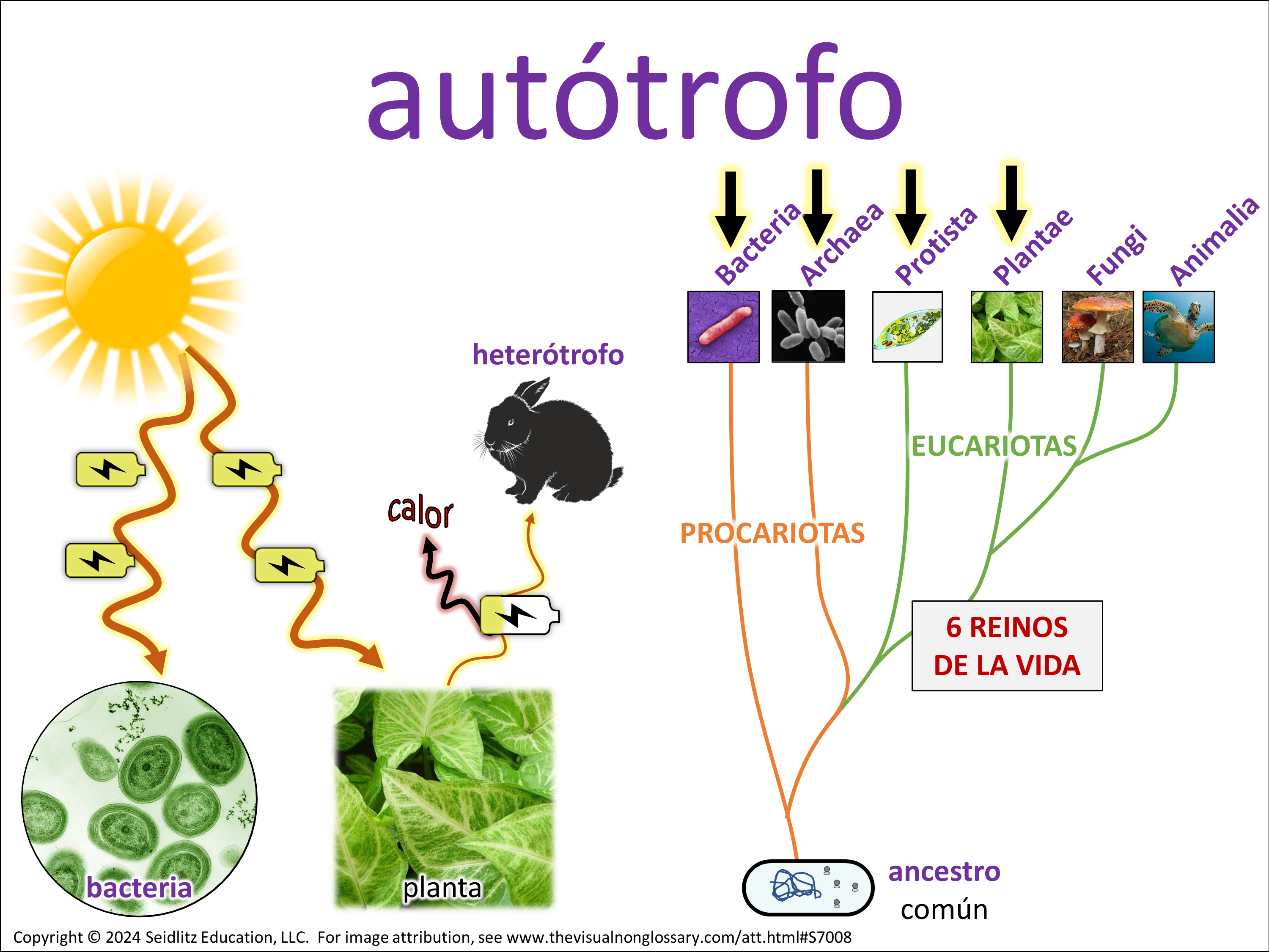 Vocab Visual