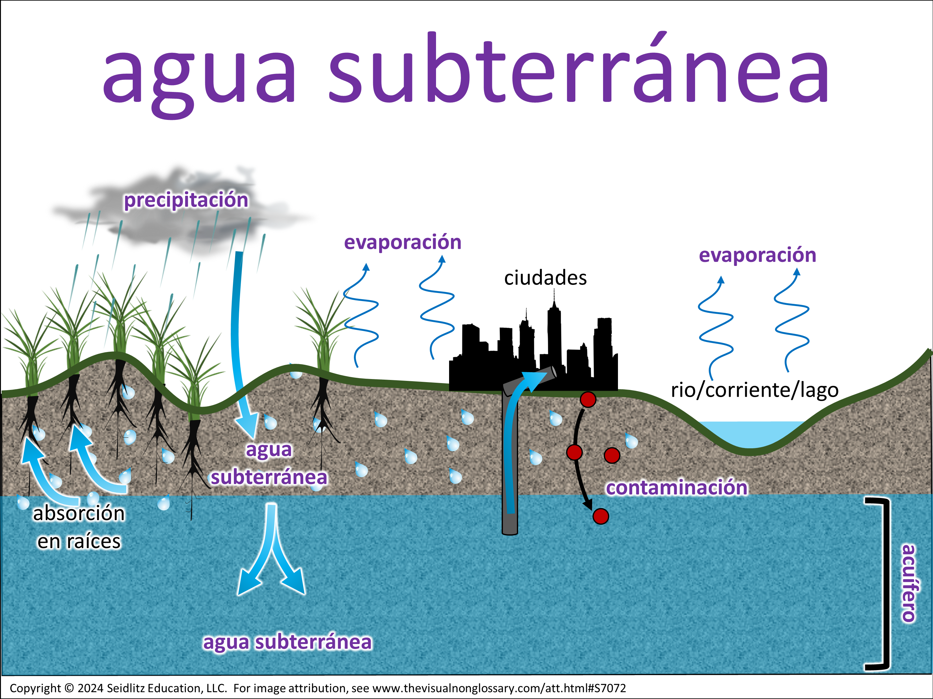 Vocab Visual