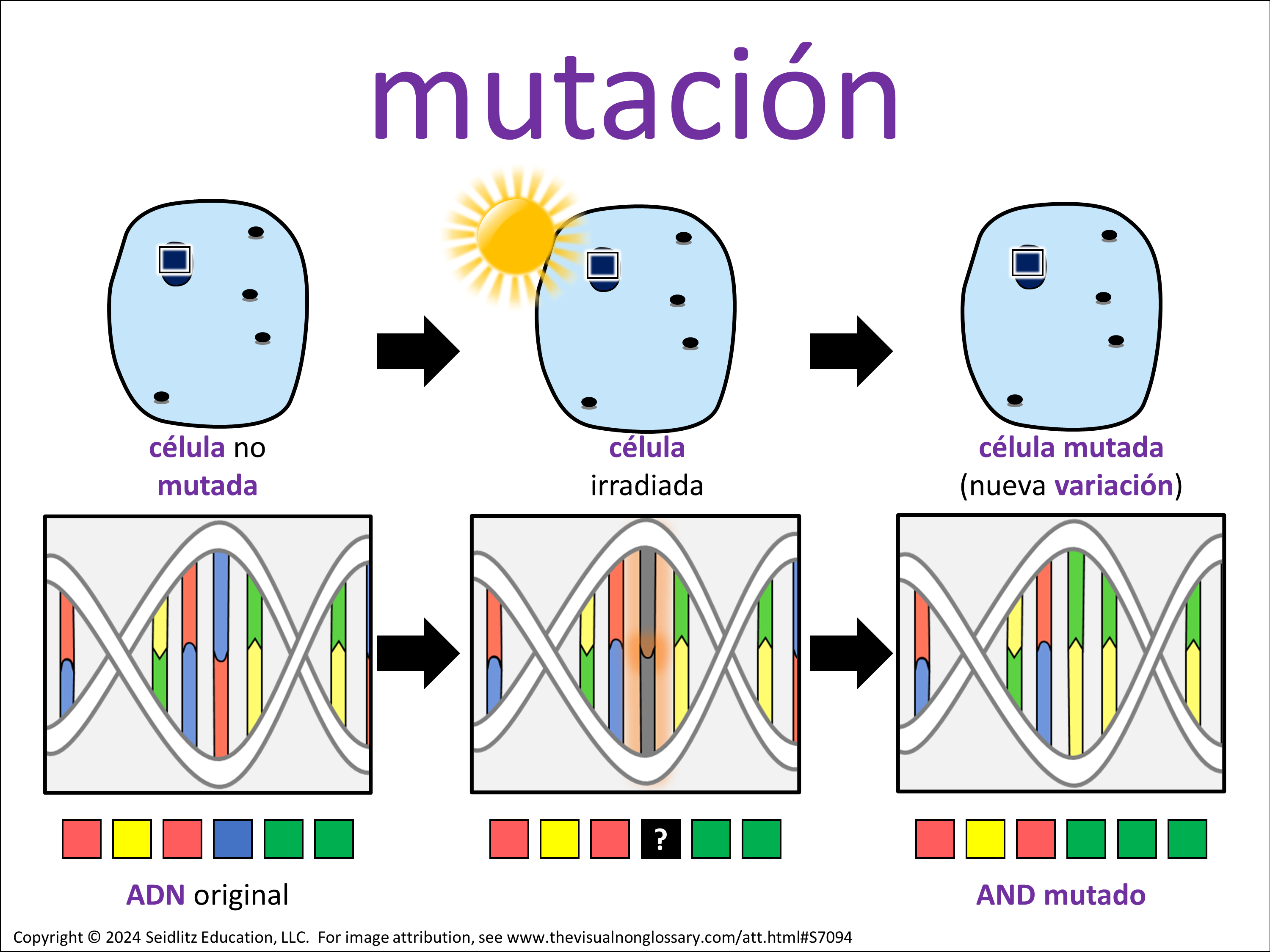 Vocab Visual