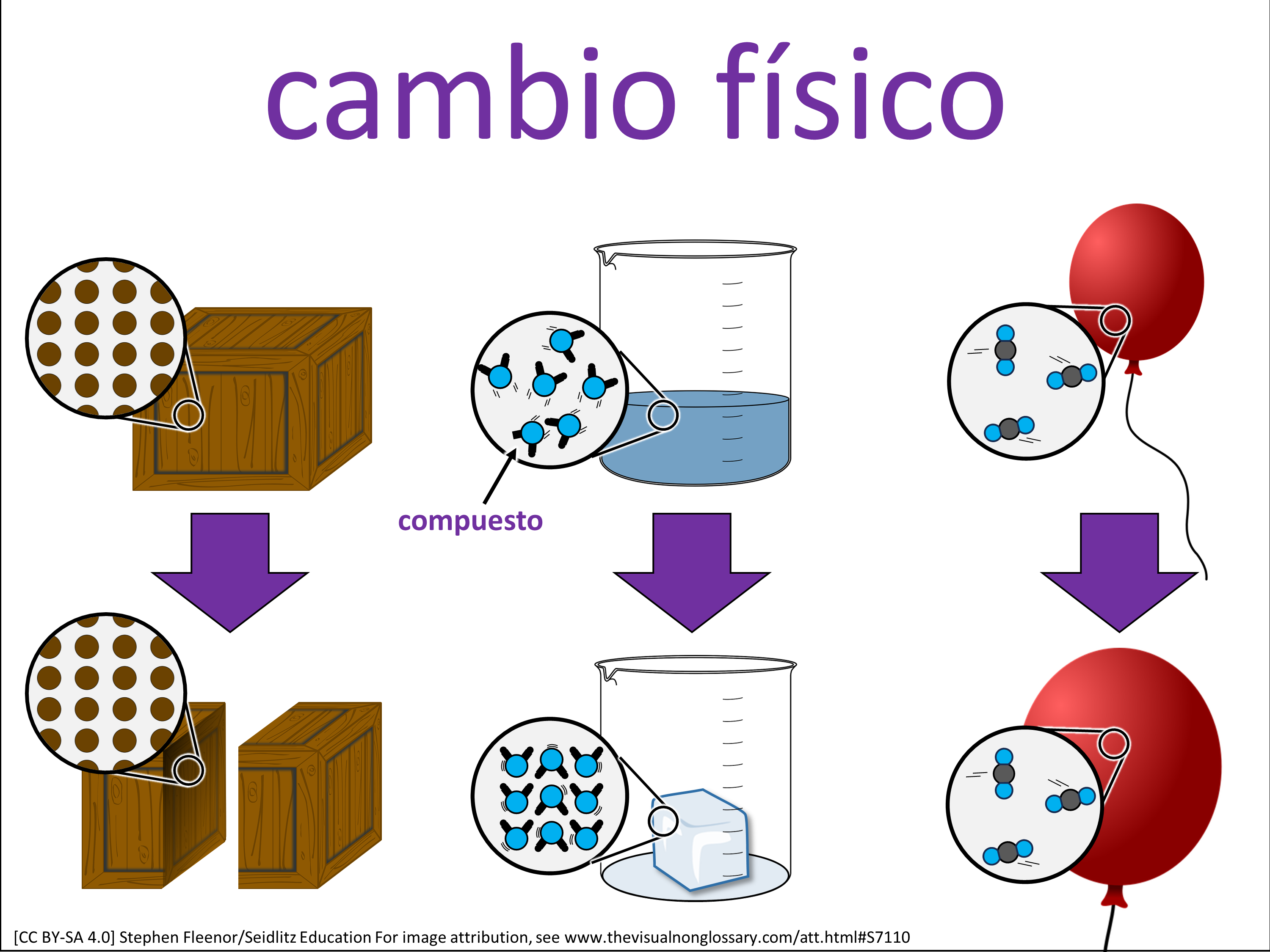 Vocab Visual