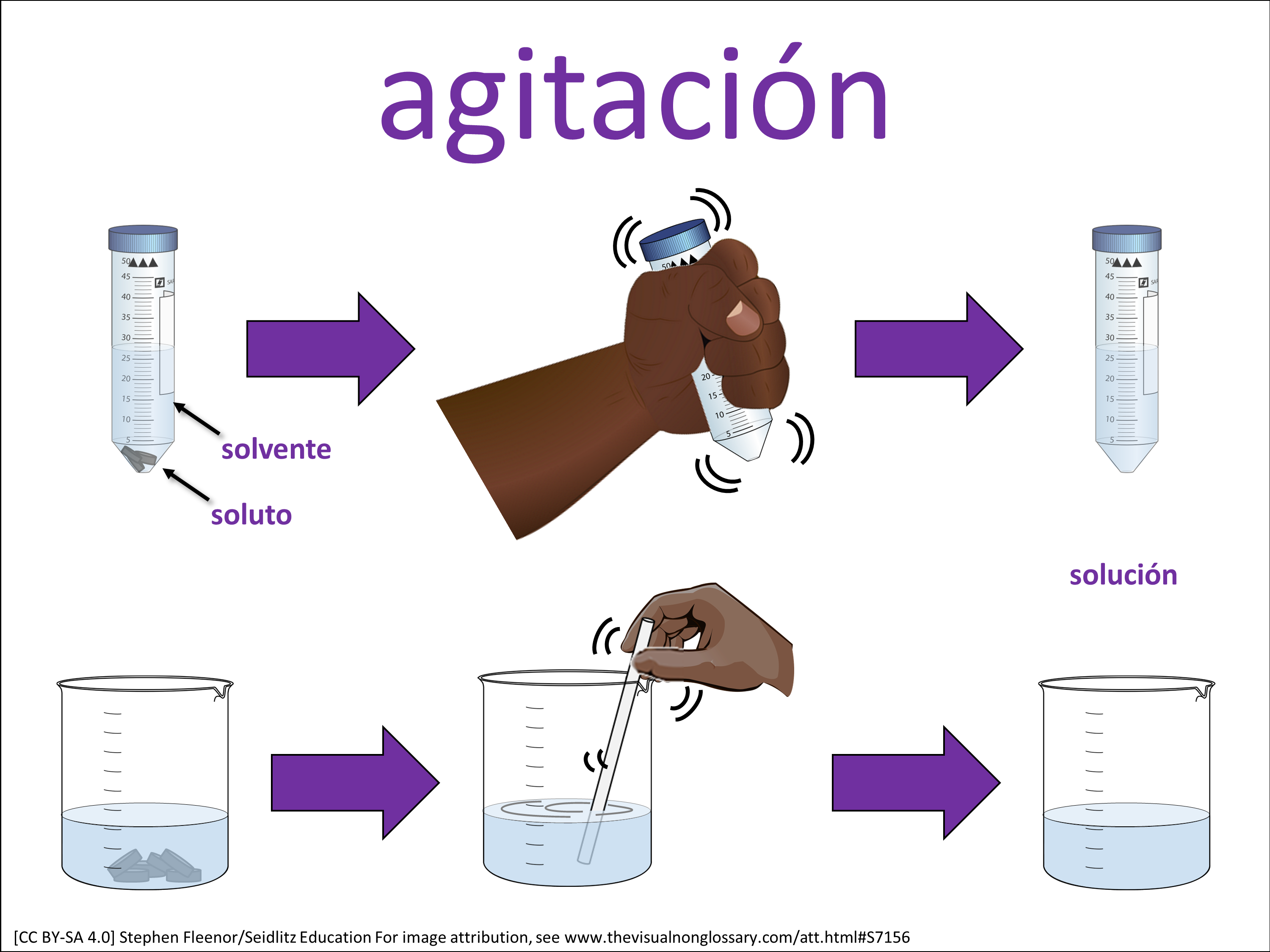 Vocab Visual
