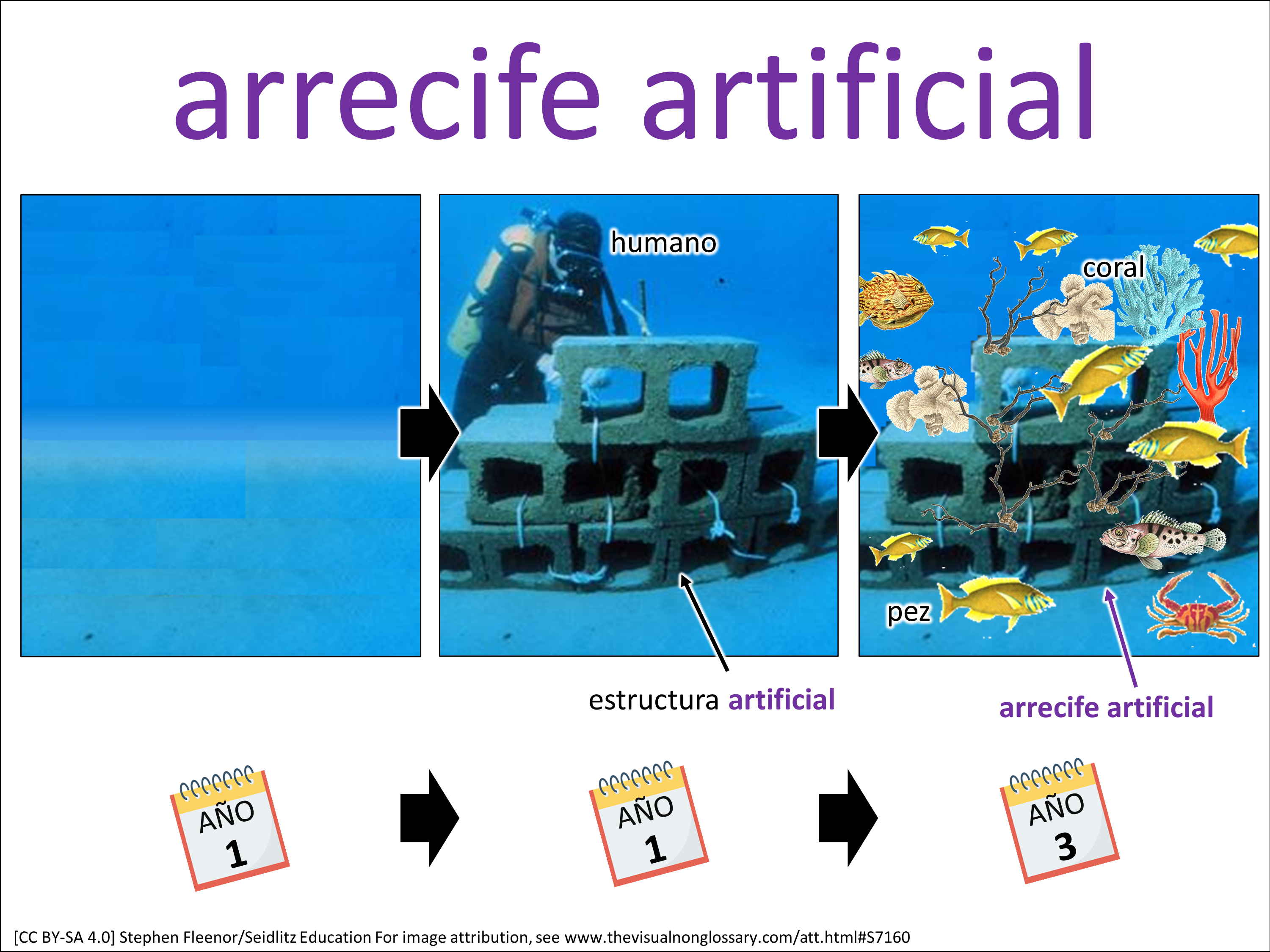 Vocab Visual