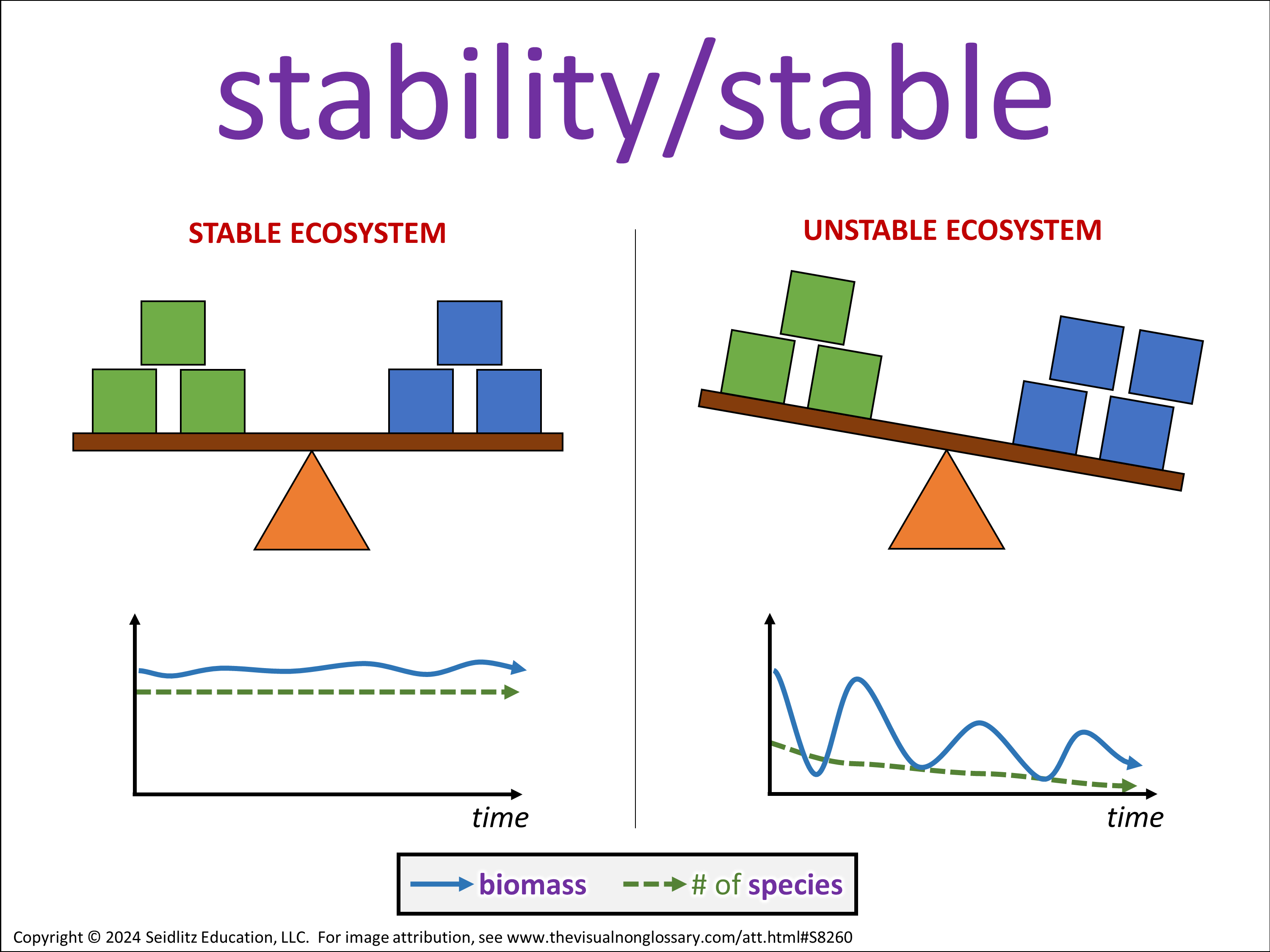 Vocab Visual