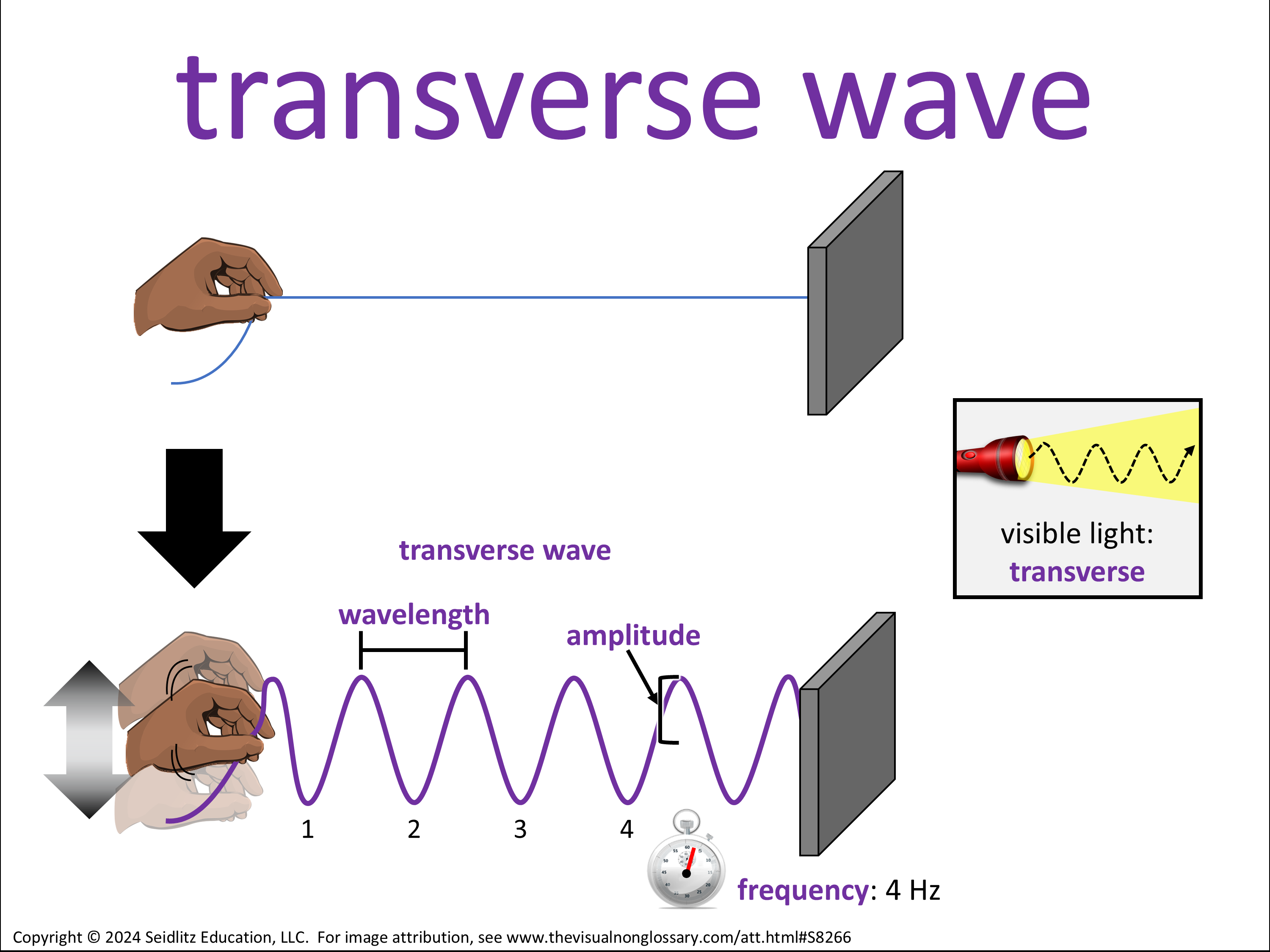 Vocab Visual
