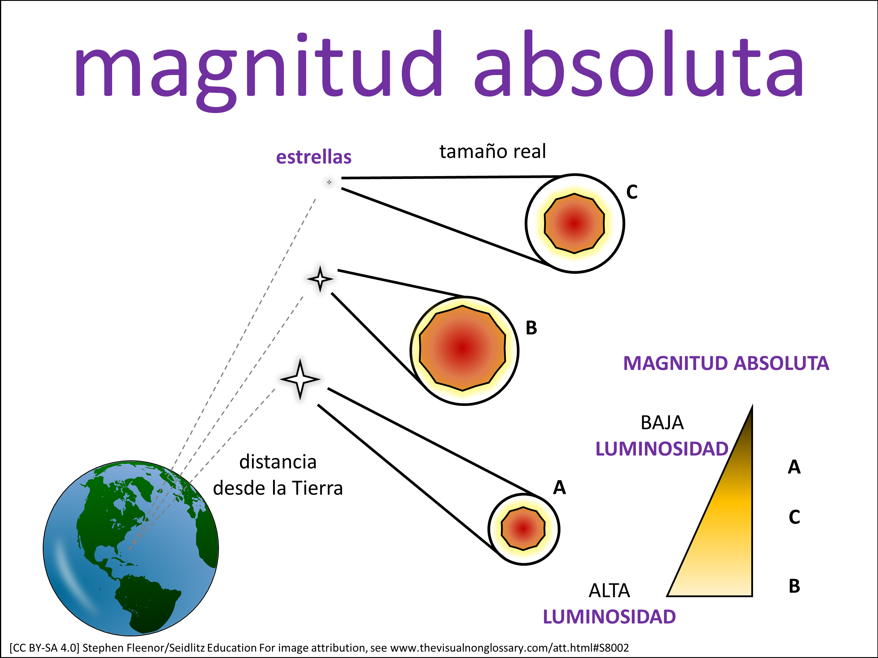 Vocab Visual
