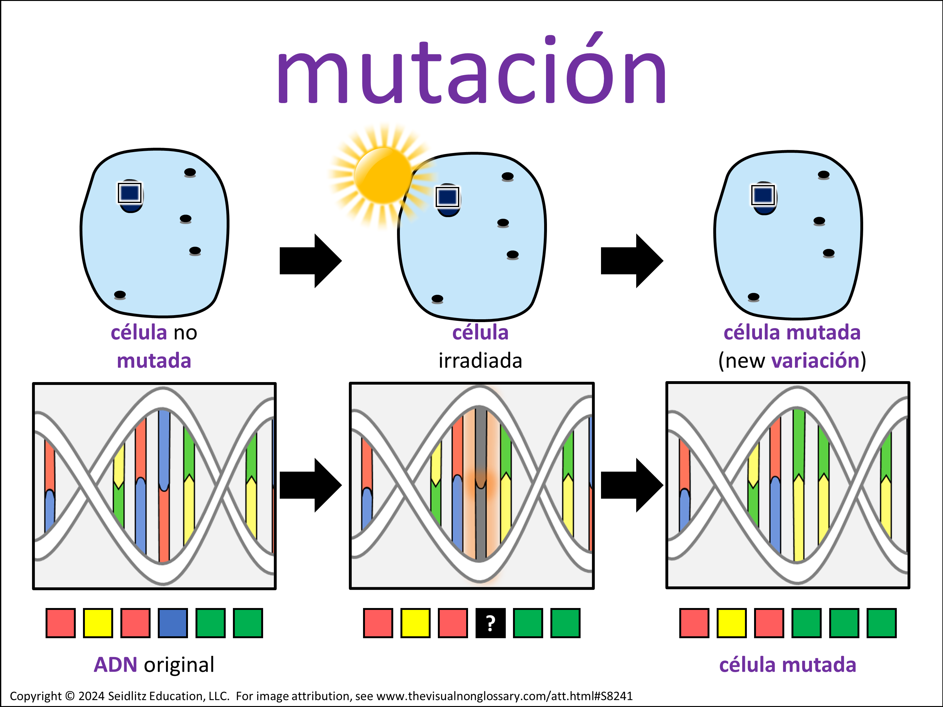 Vocab Visual