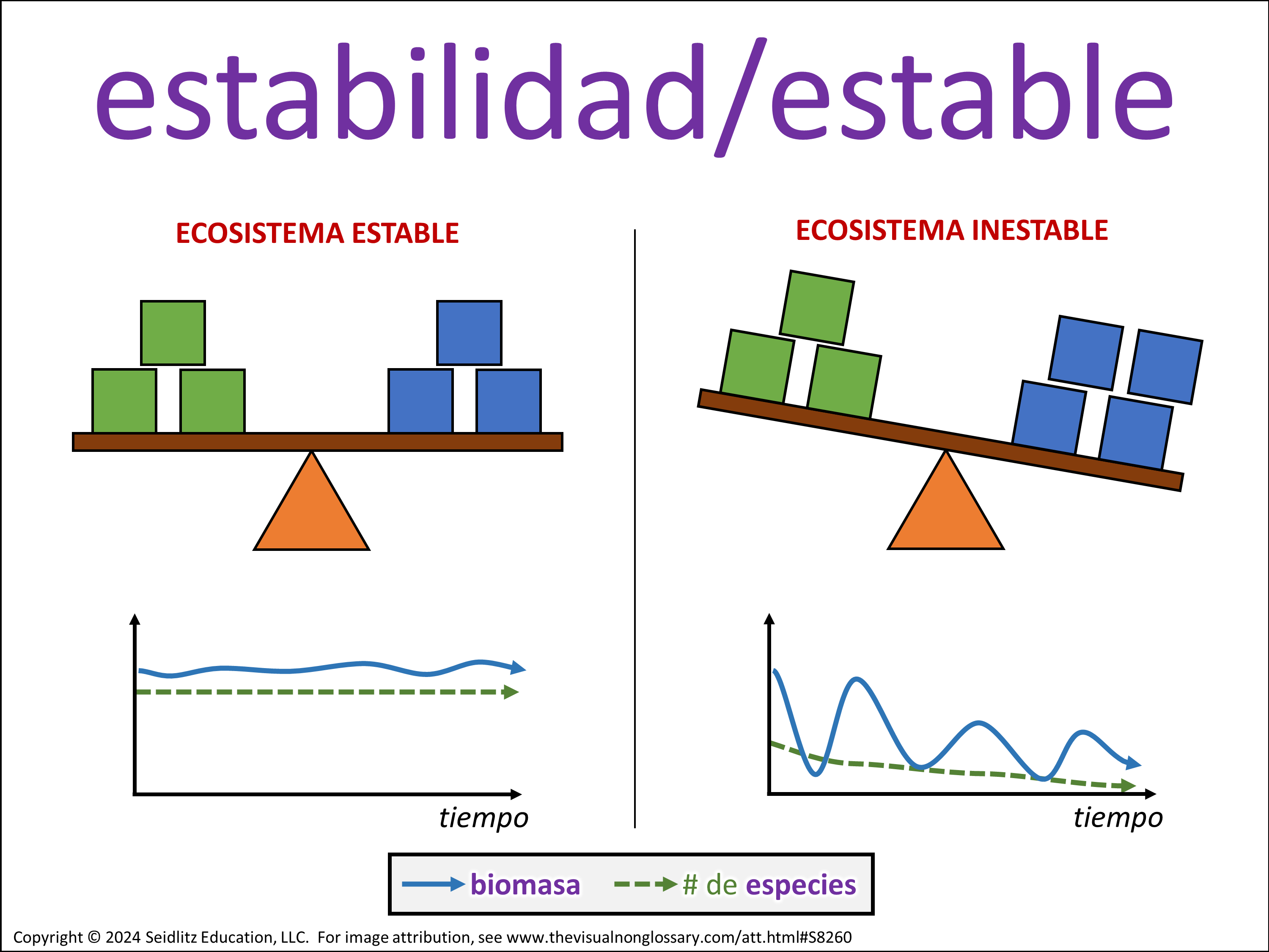 Vocab Visual