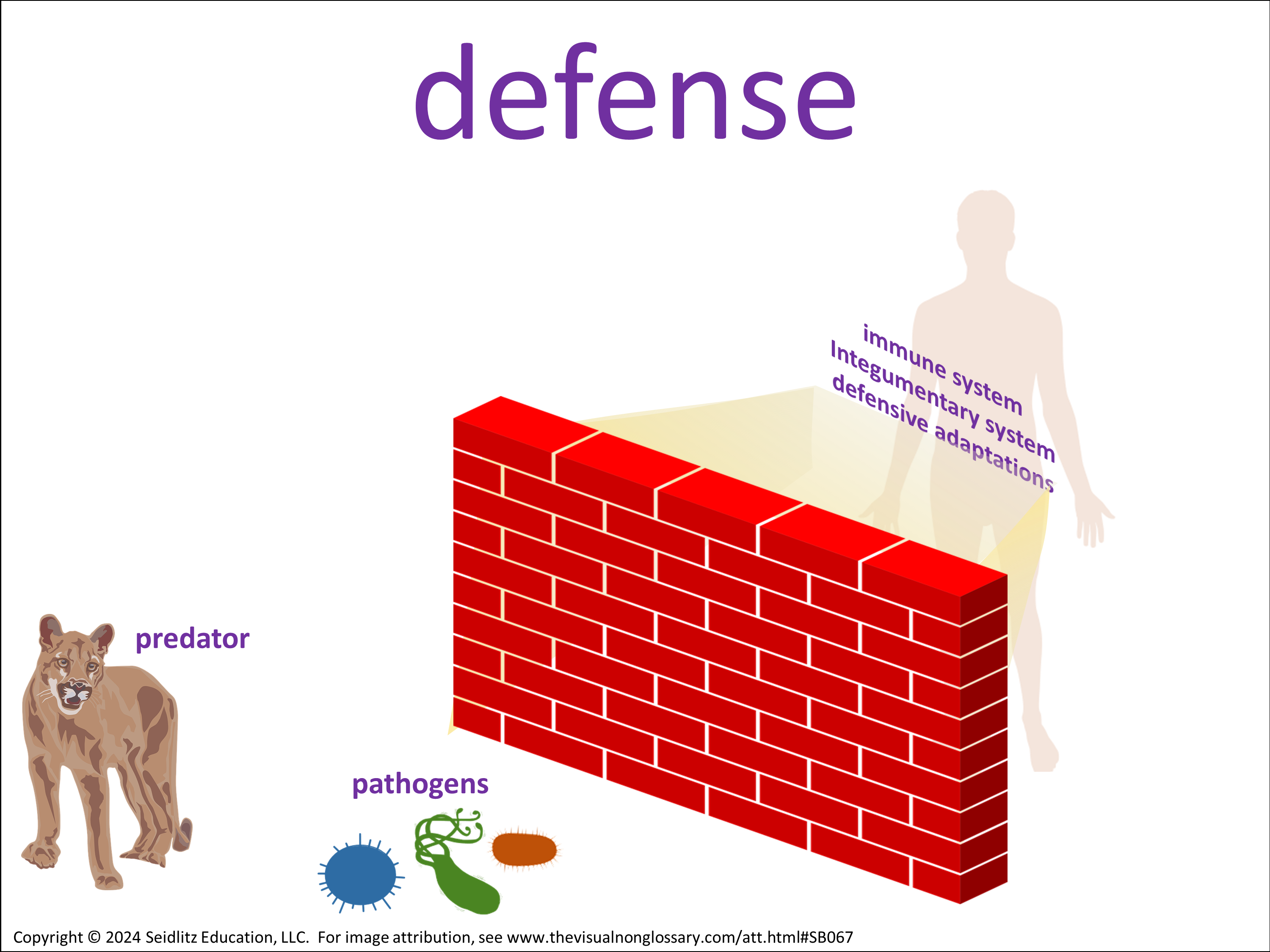 Vocab Visual
