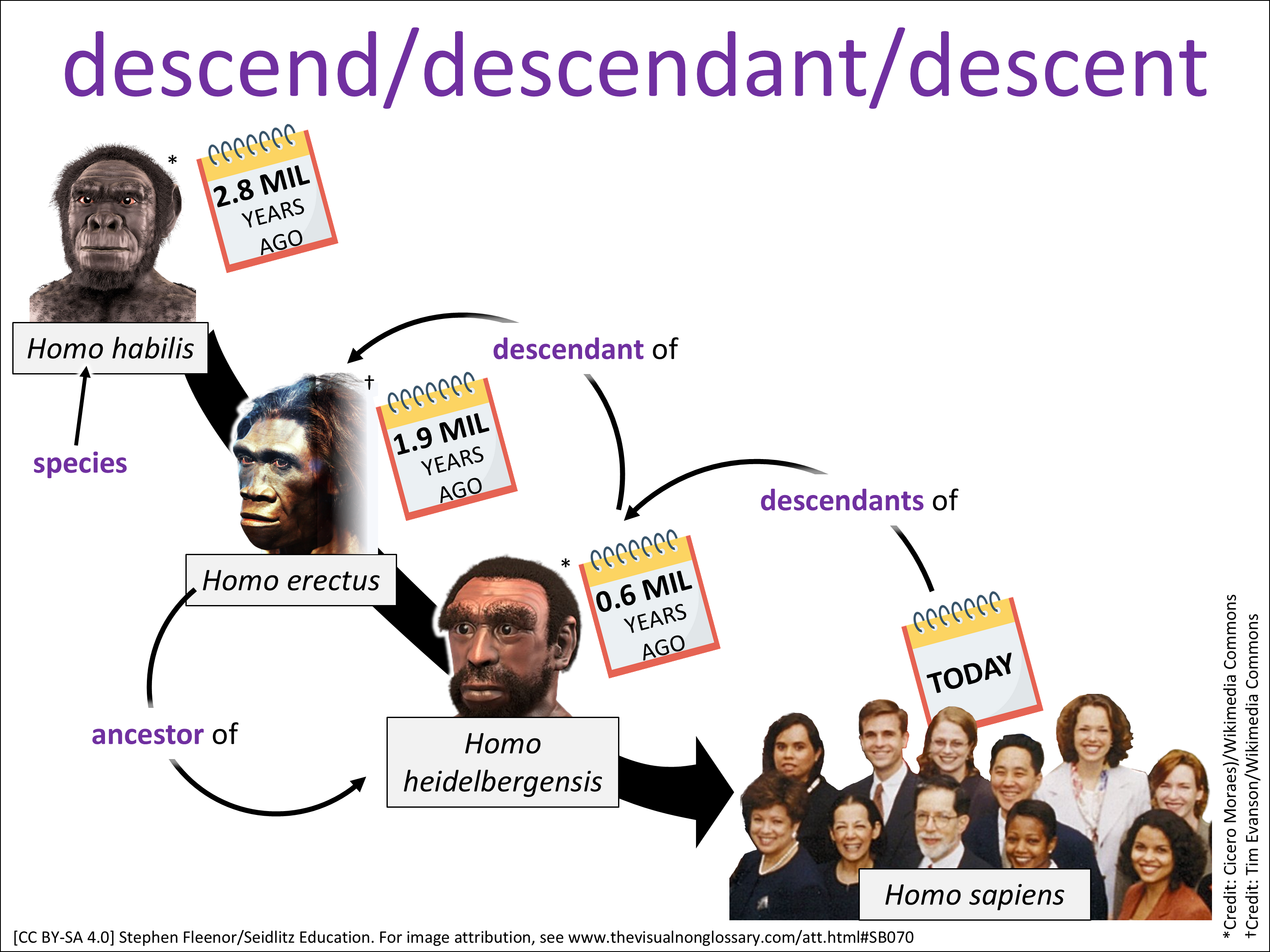 Vocab Visual
