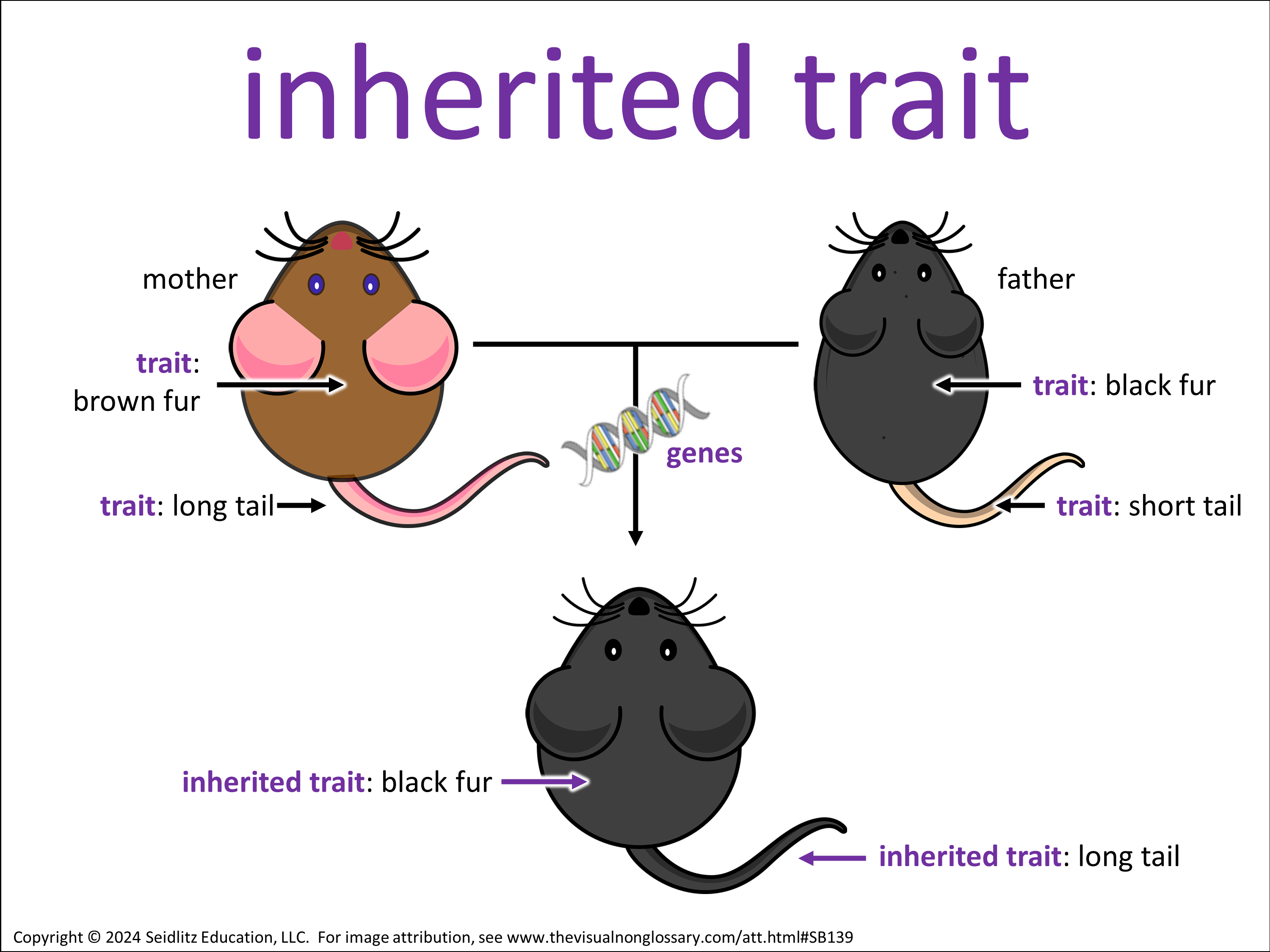 Vocab Visual