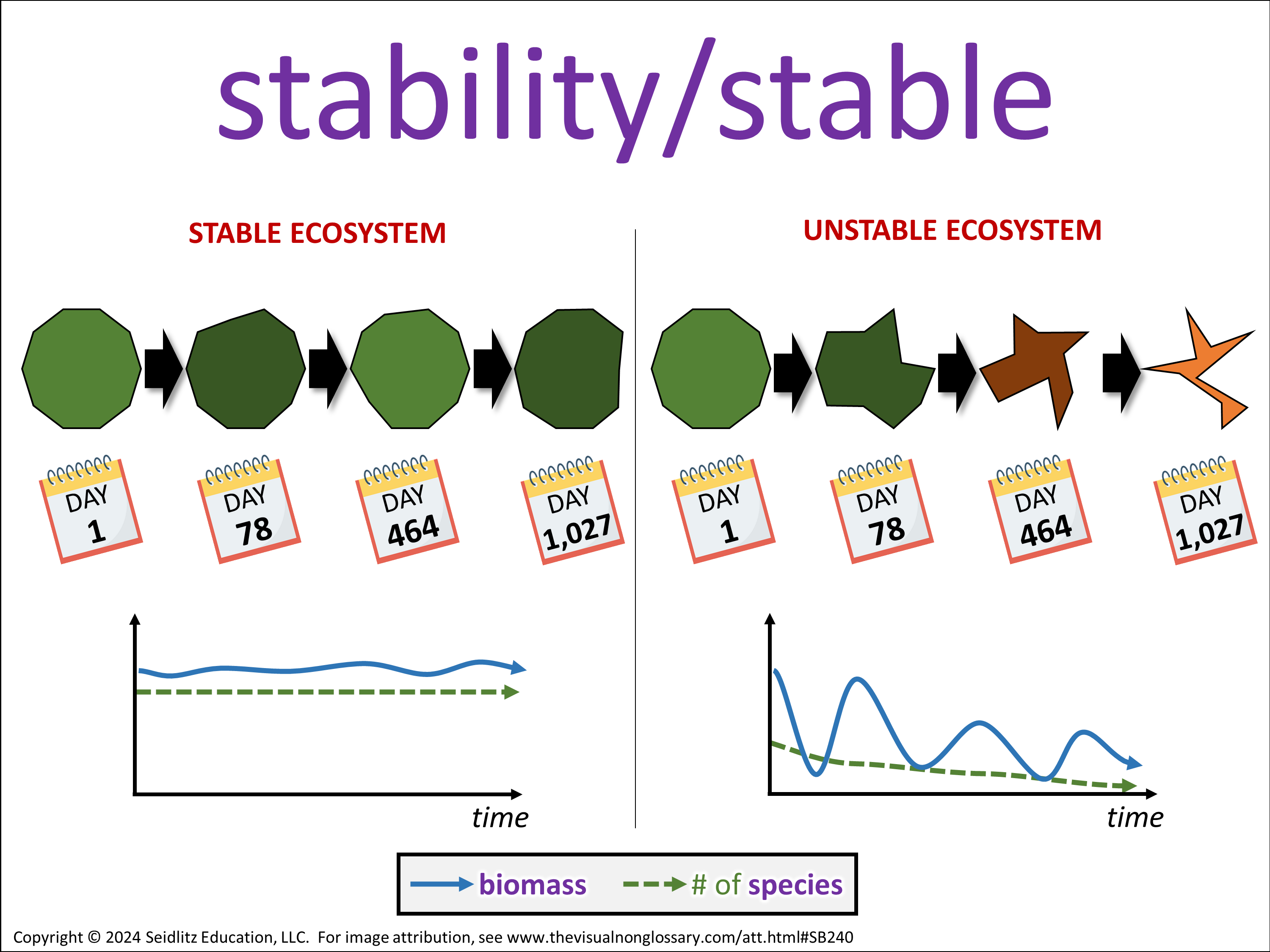 Vocab Visual