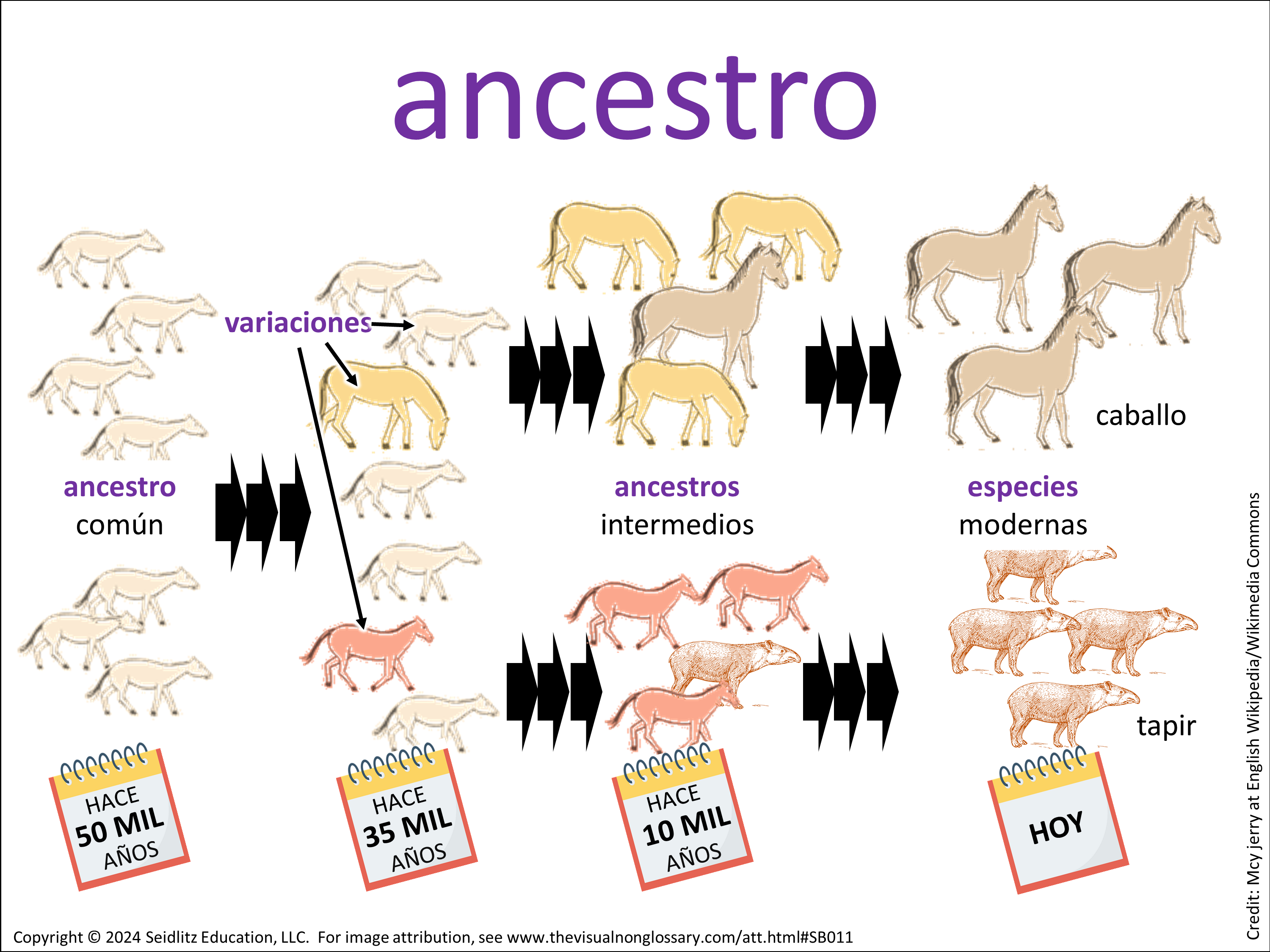 Vocab Visual