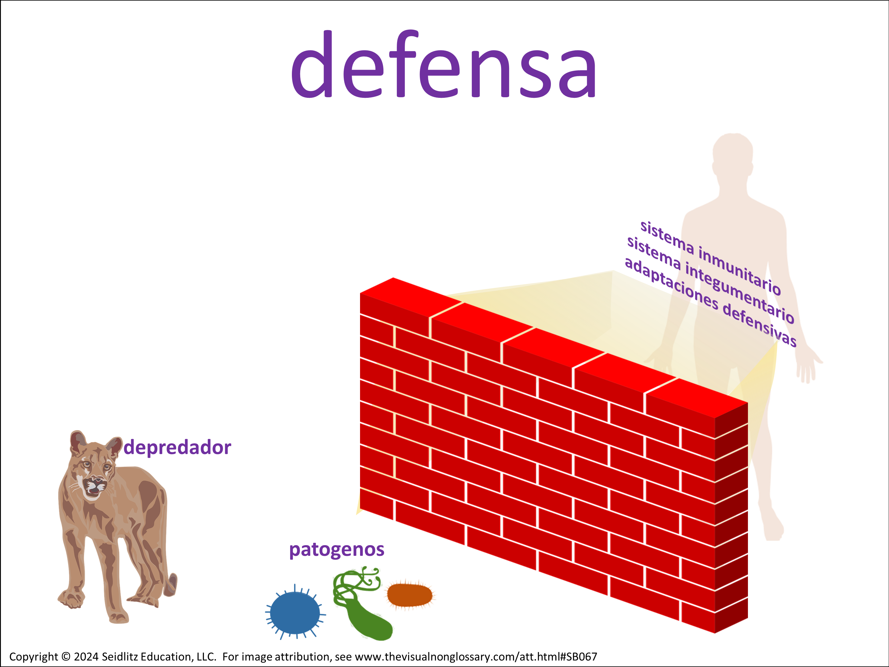 Vocab Visual